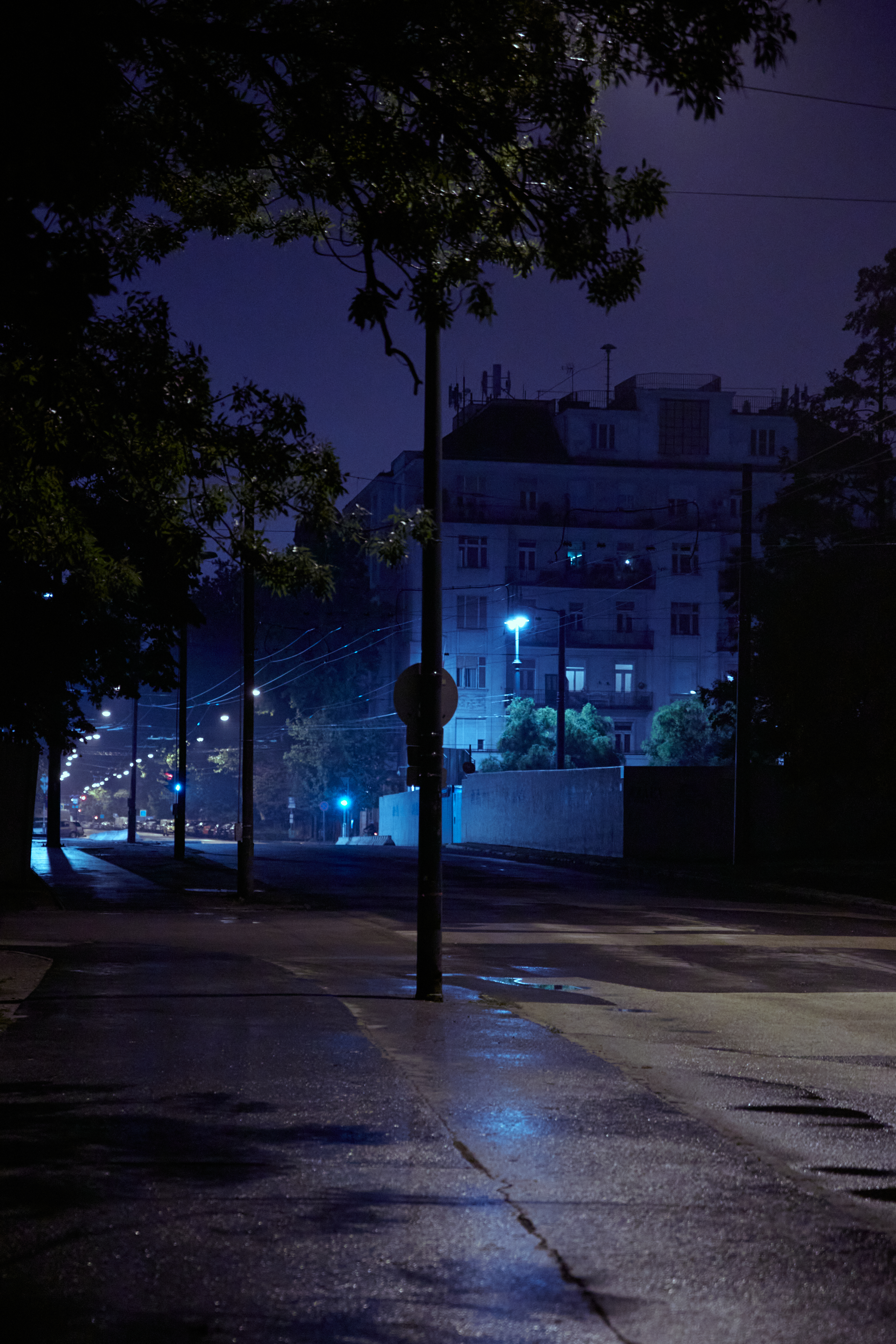 Budapest, 2020