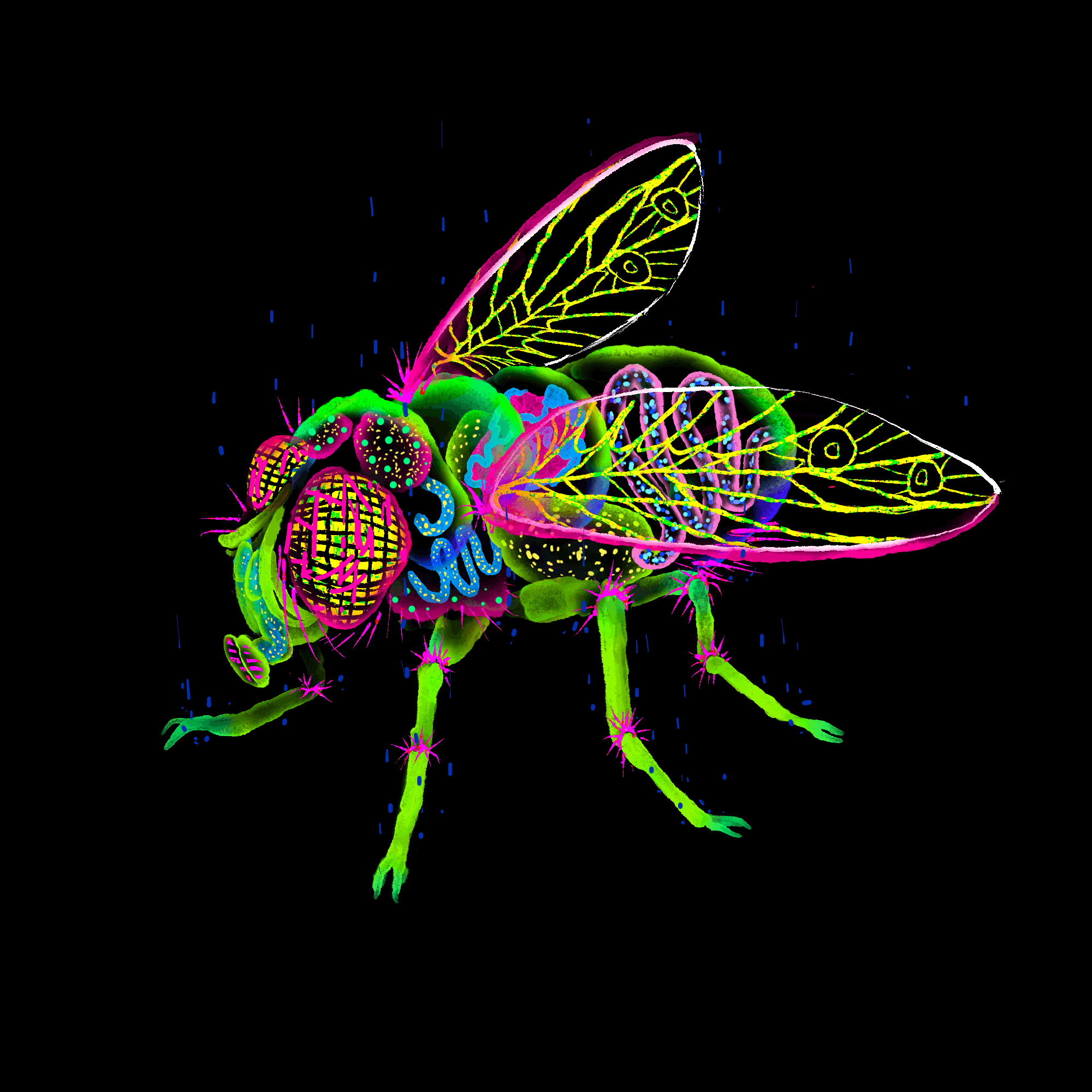 Light O’nely Fly