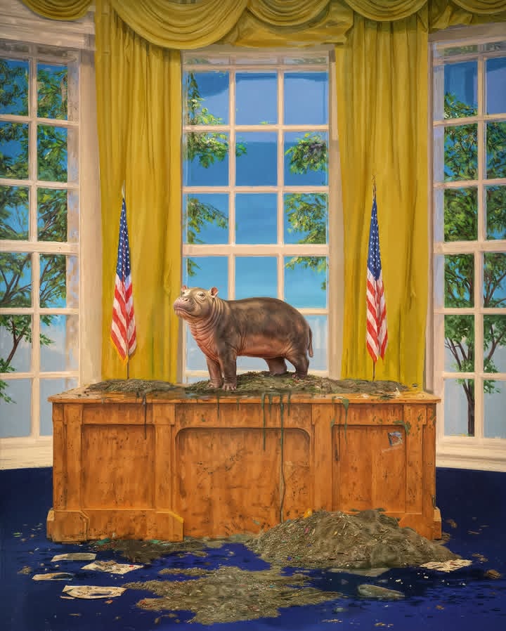 MOO DENG FOR PRESIDENT
