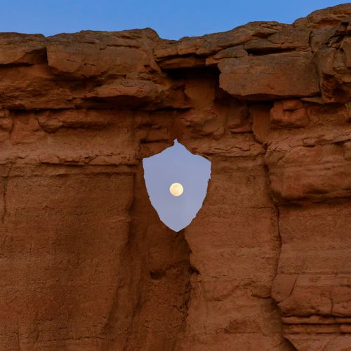 Nature Stands with Crypto #727