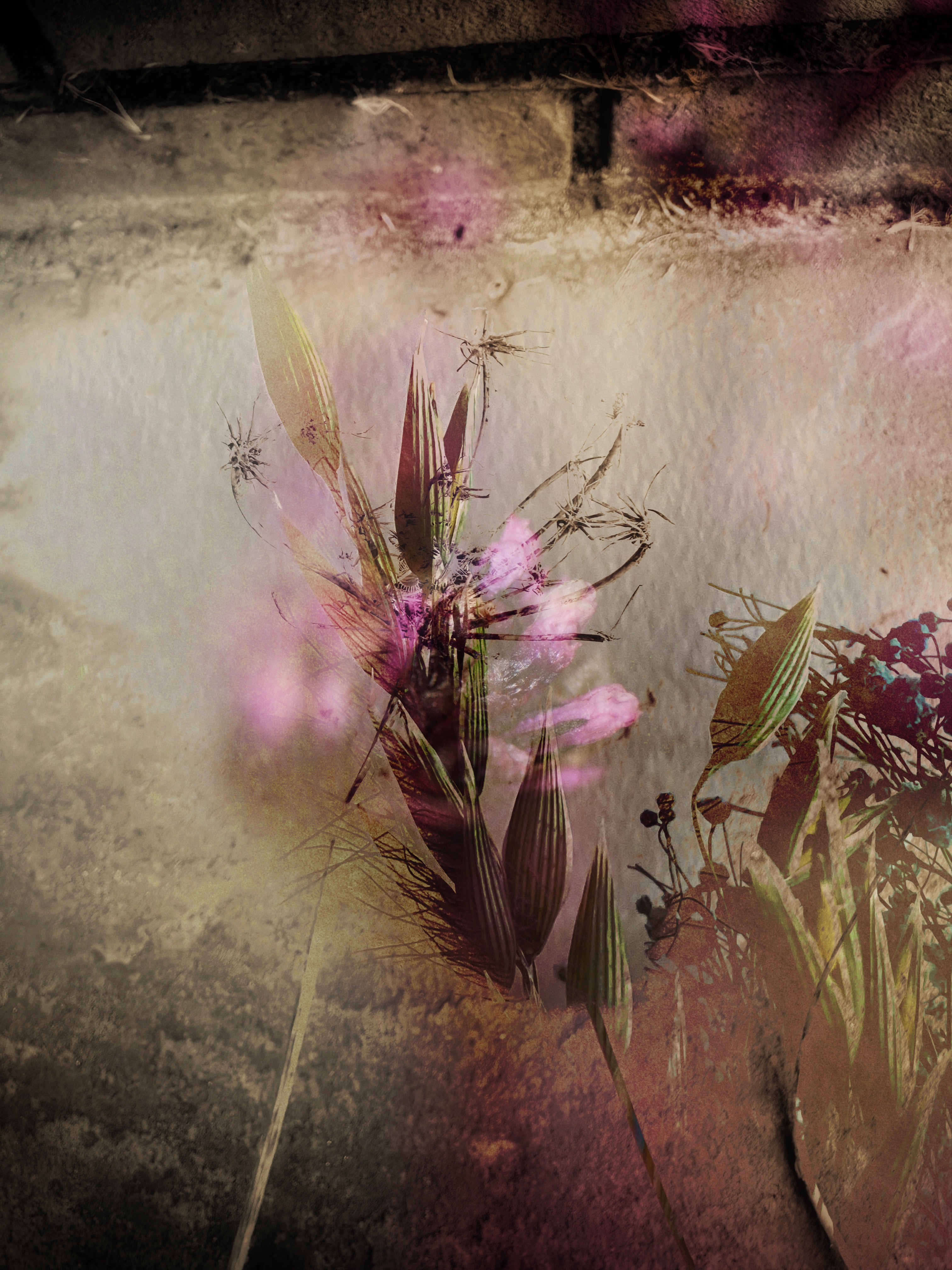 In the Grain