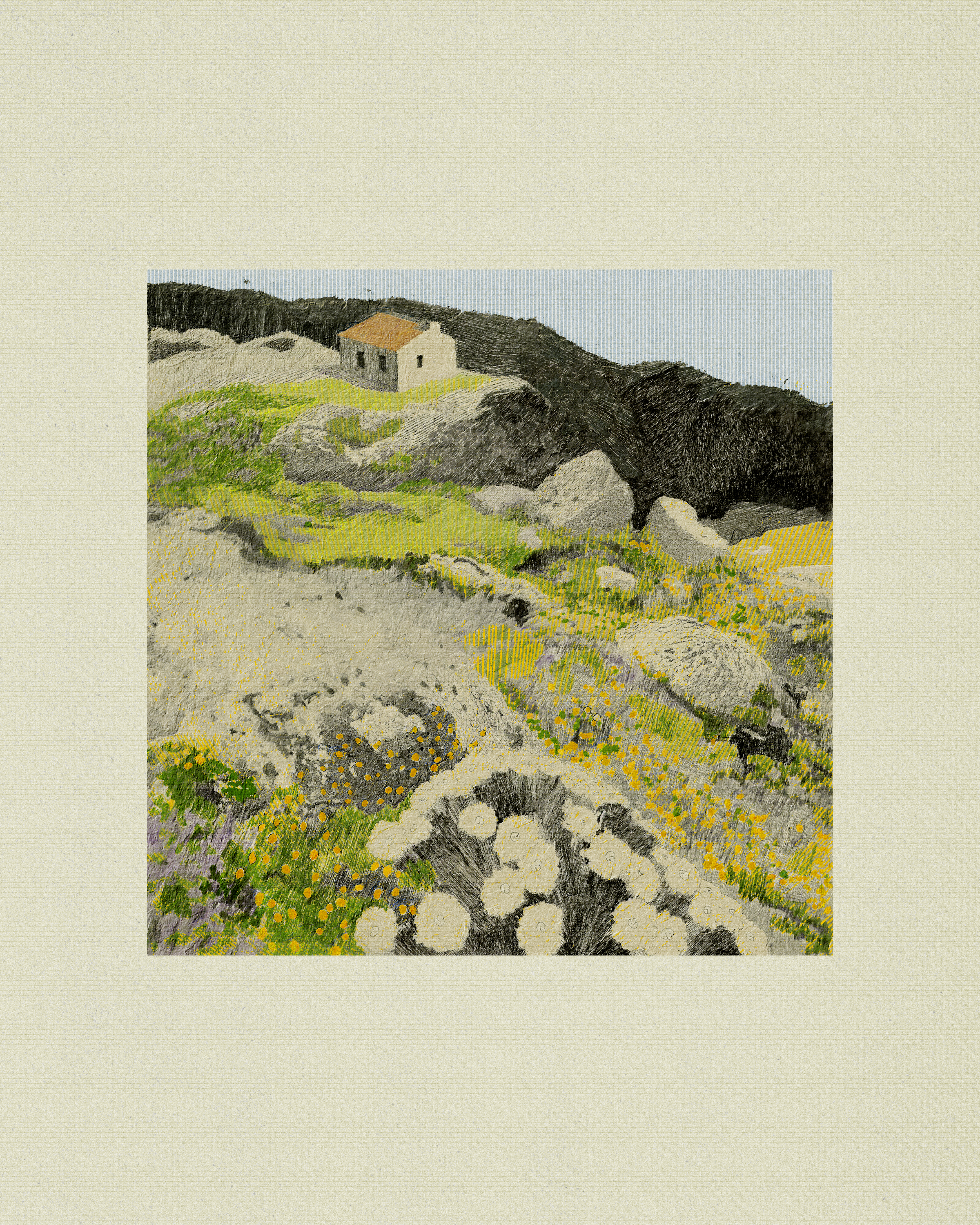 Coast #53