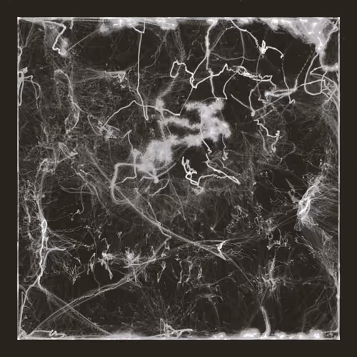 Echos, II