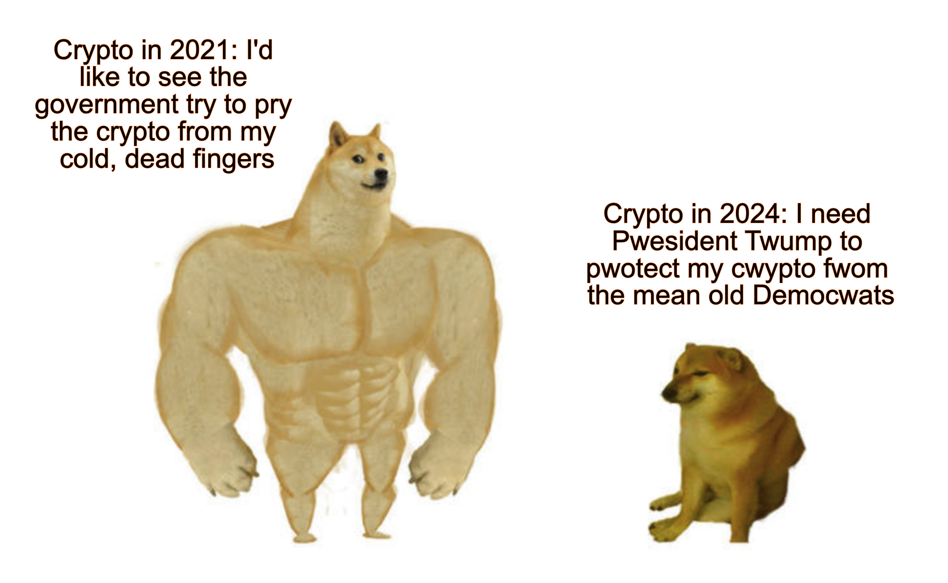 PwotectMyCwypto