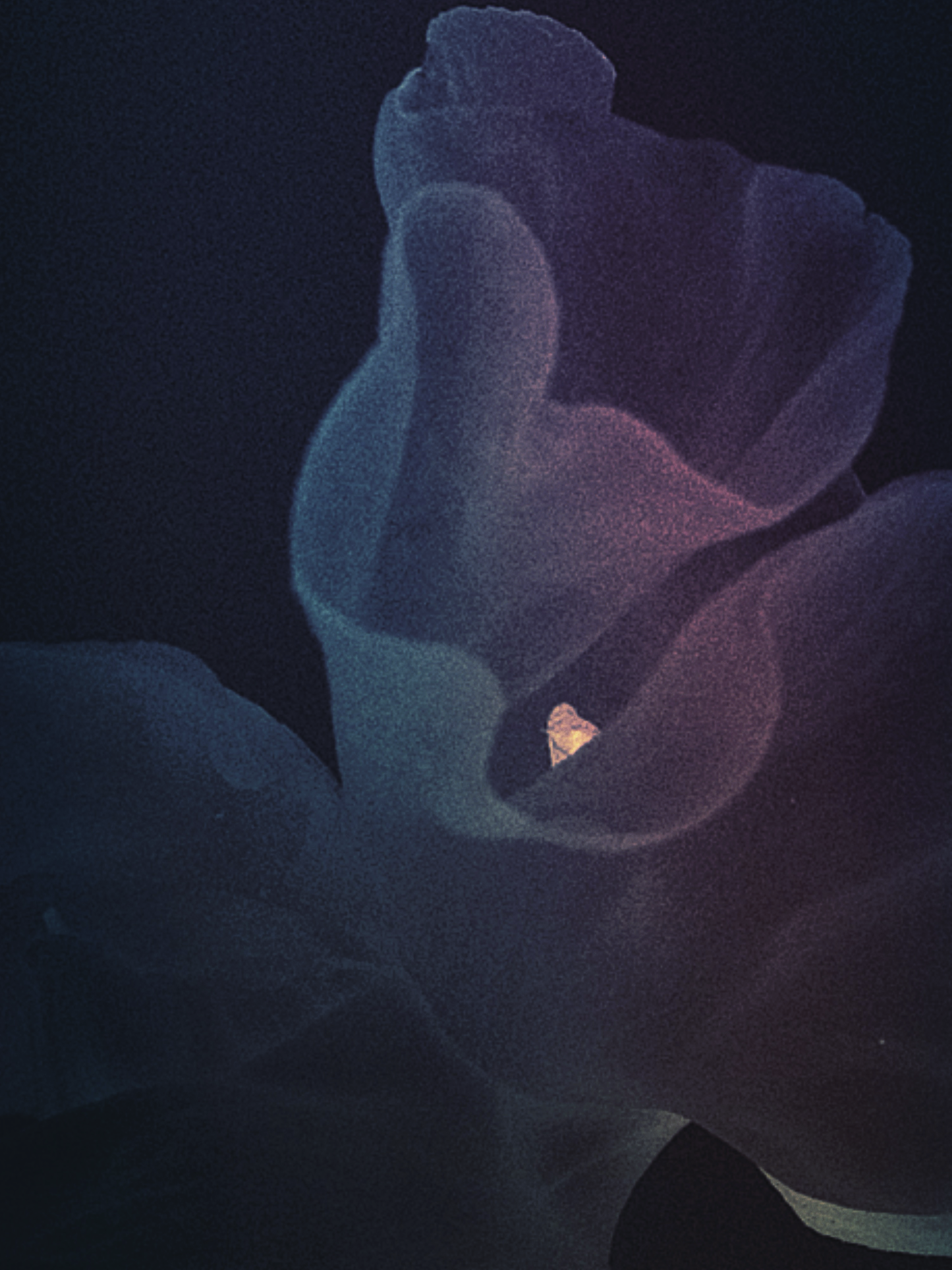 NEON IV