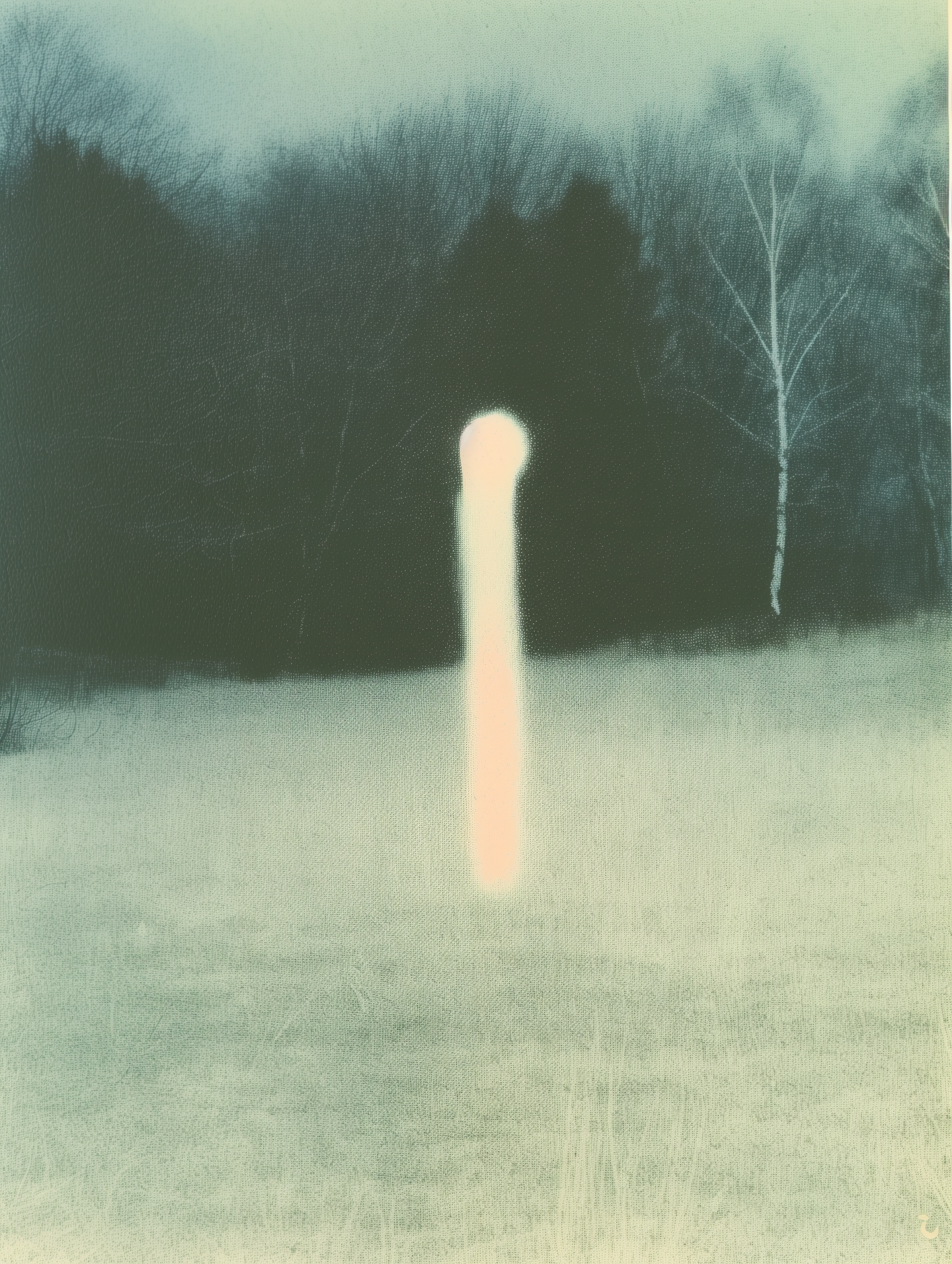 nocturnal shape