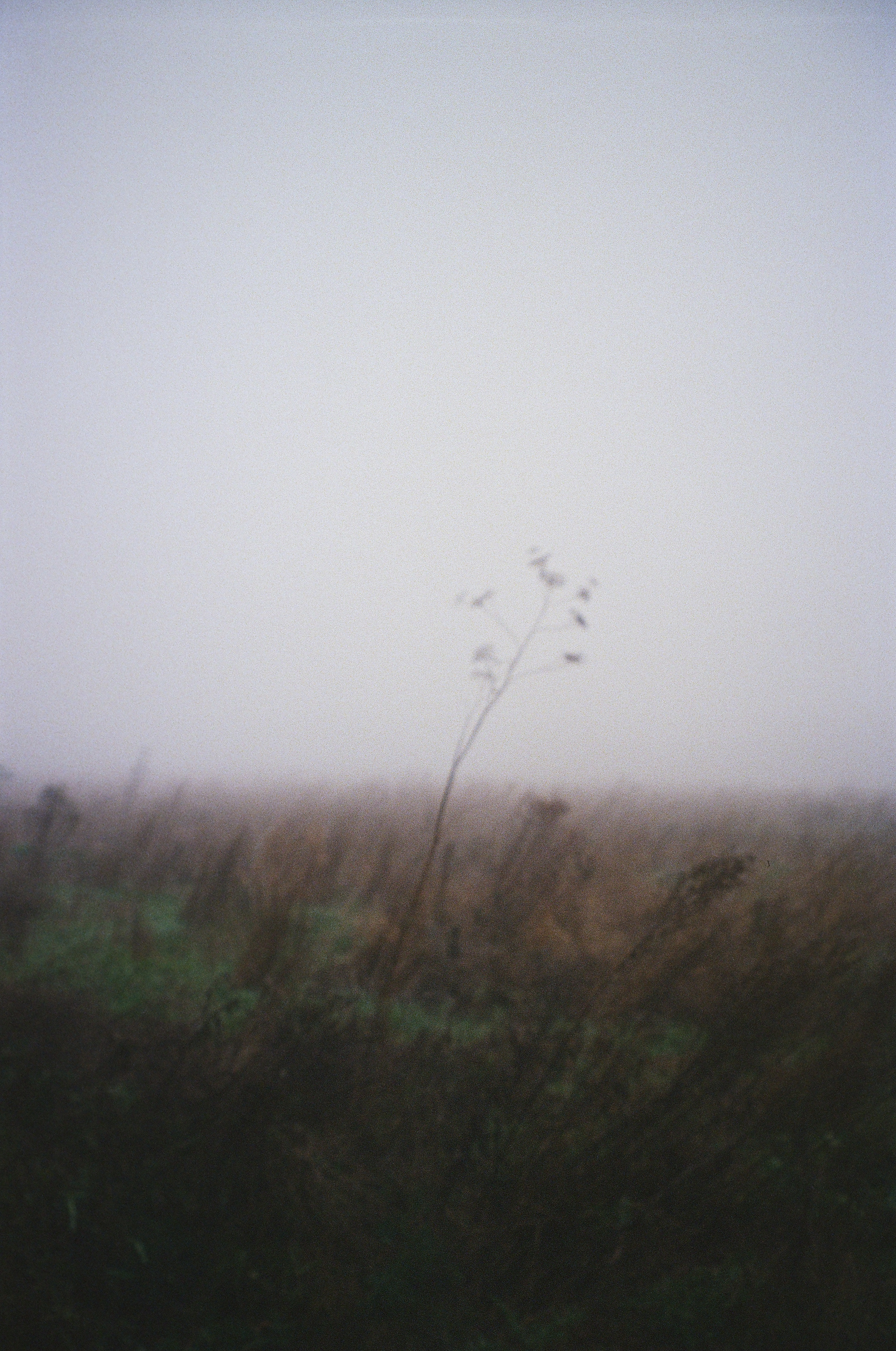Blurred vision