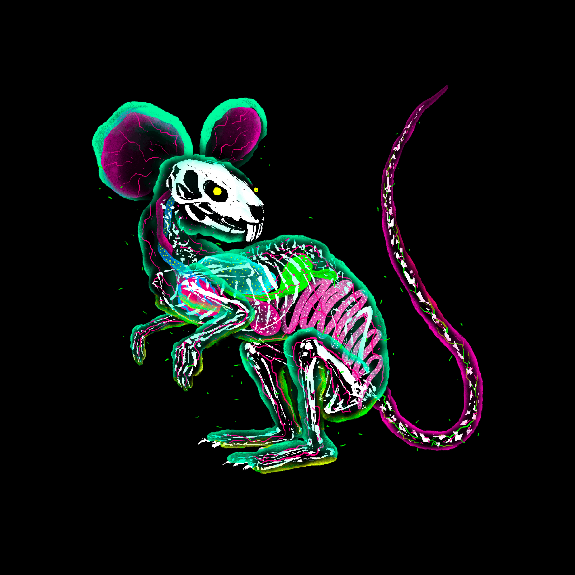 Betablood Rat