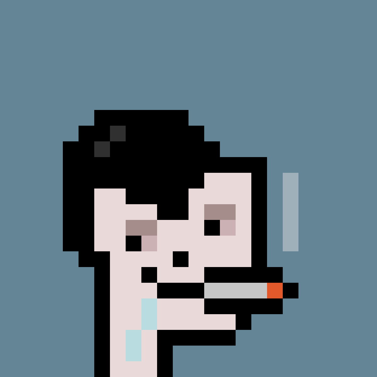 PNUKS #335