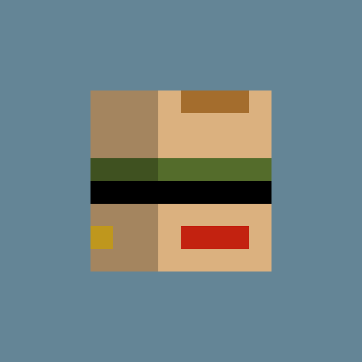 PunkBlock #5896