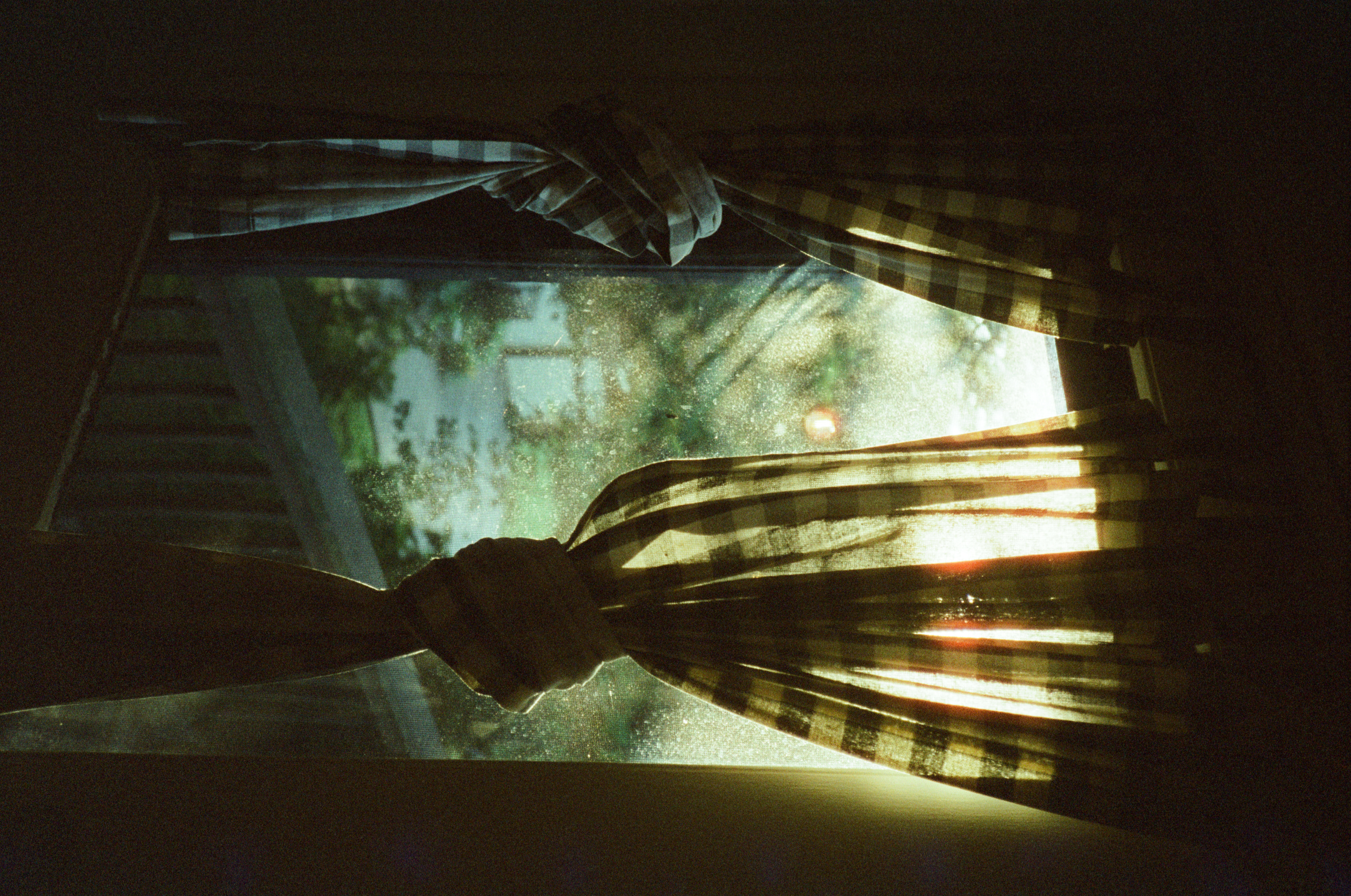 The Last of Us