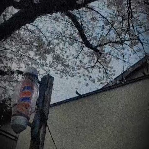 Tokoya
