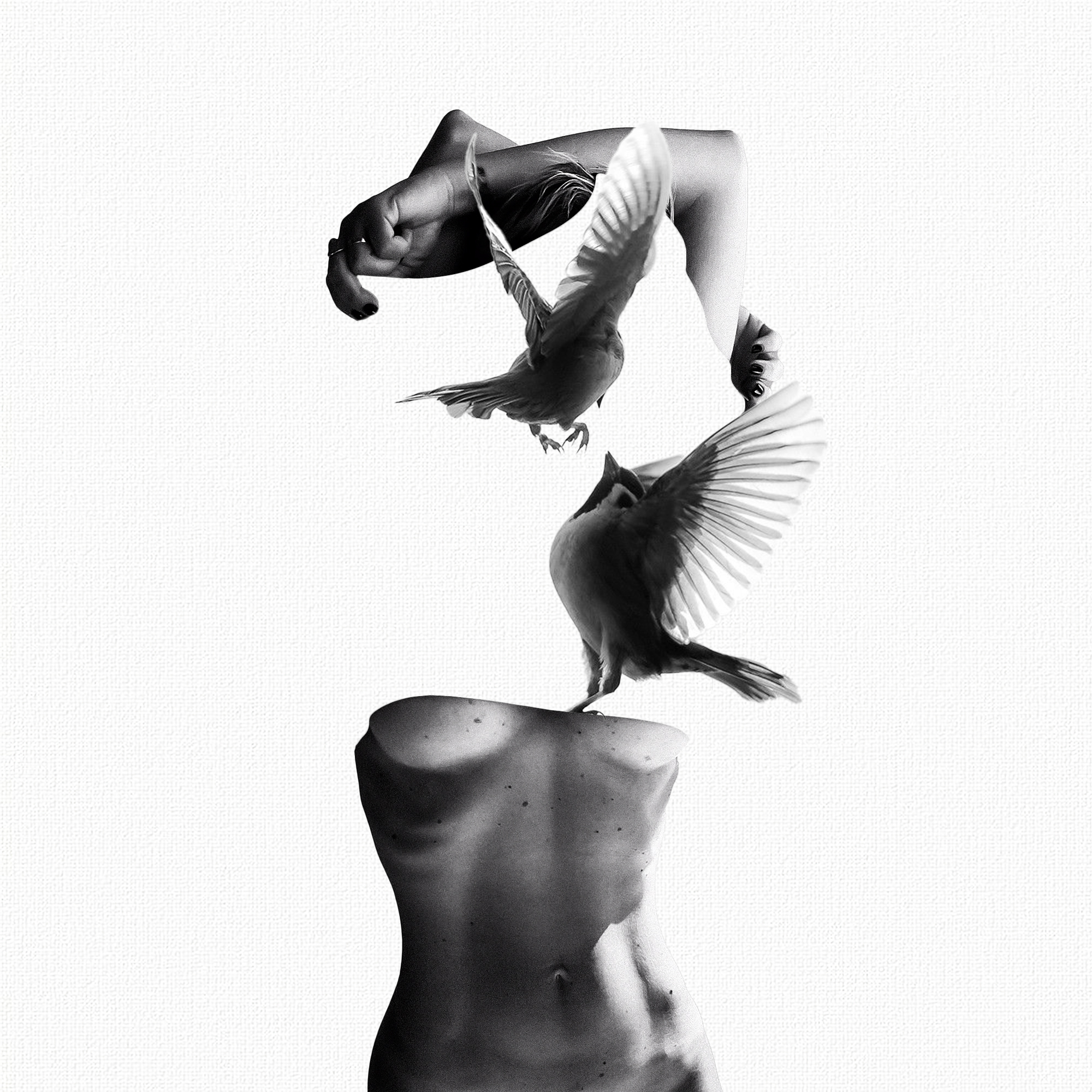 Collage N45