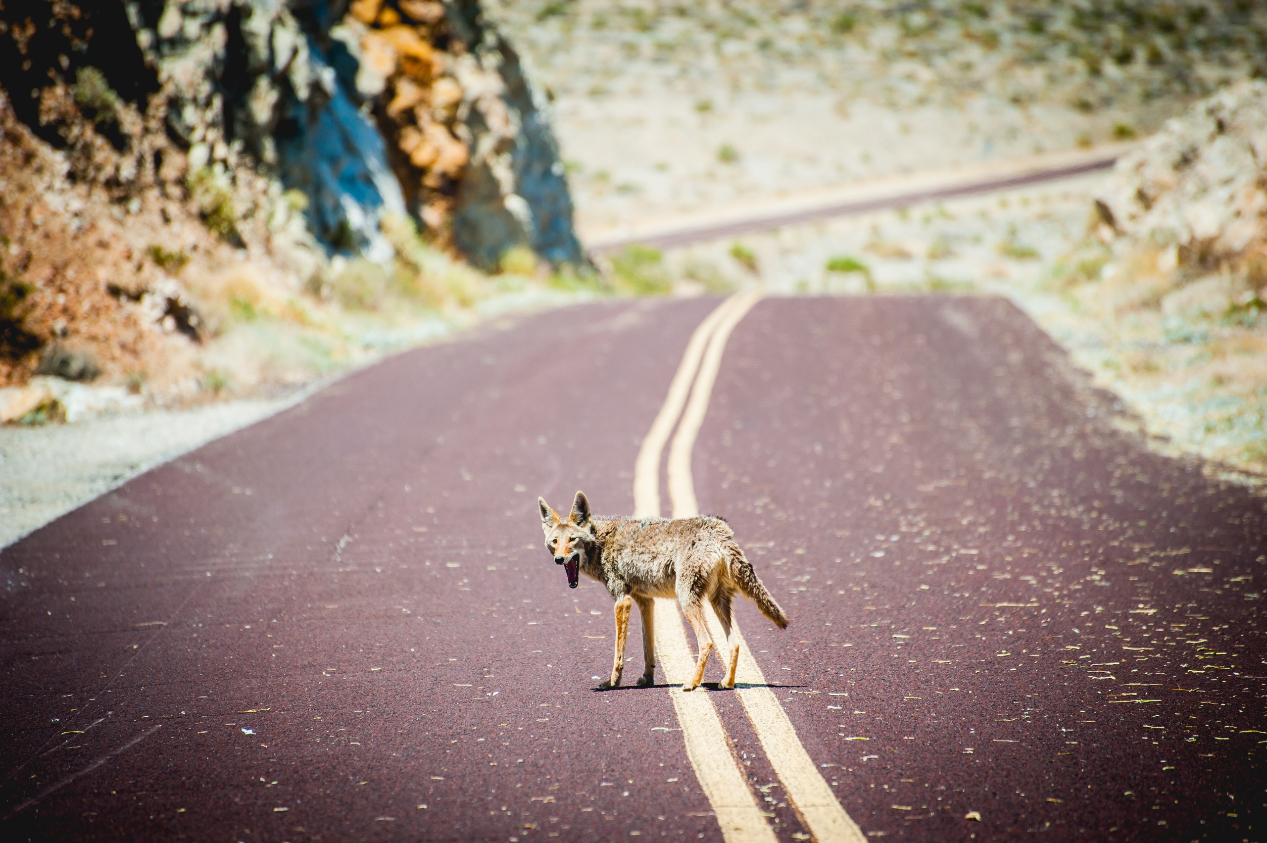 Death Valley - 09