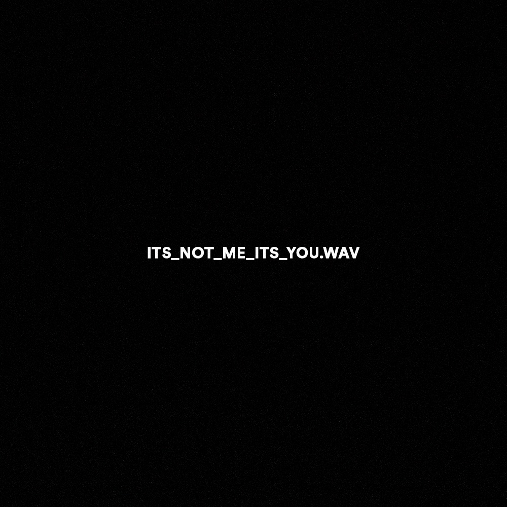 It's Not Me It's You - Limited #387