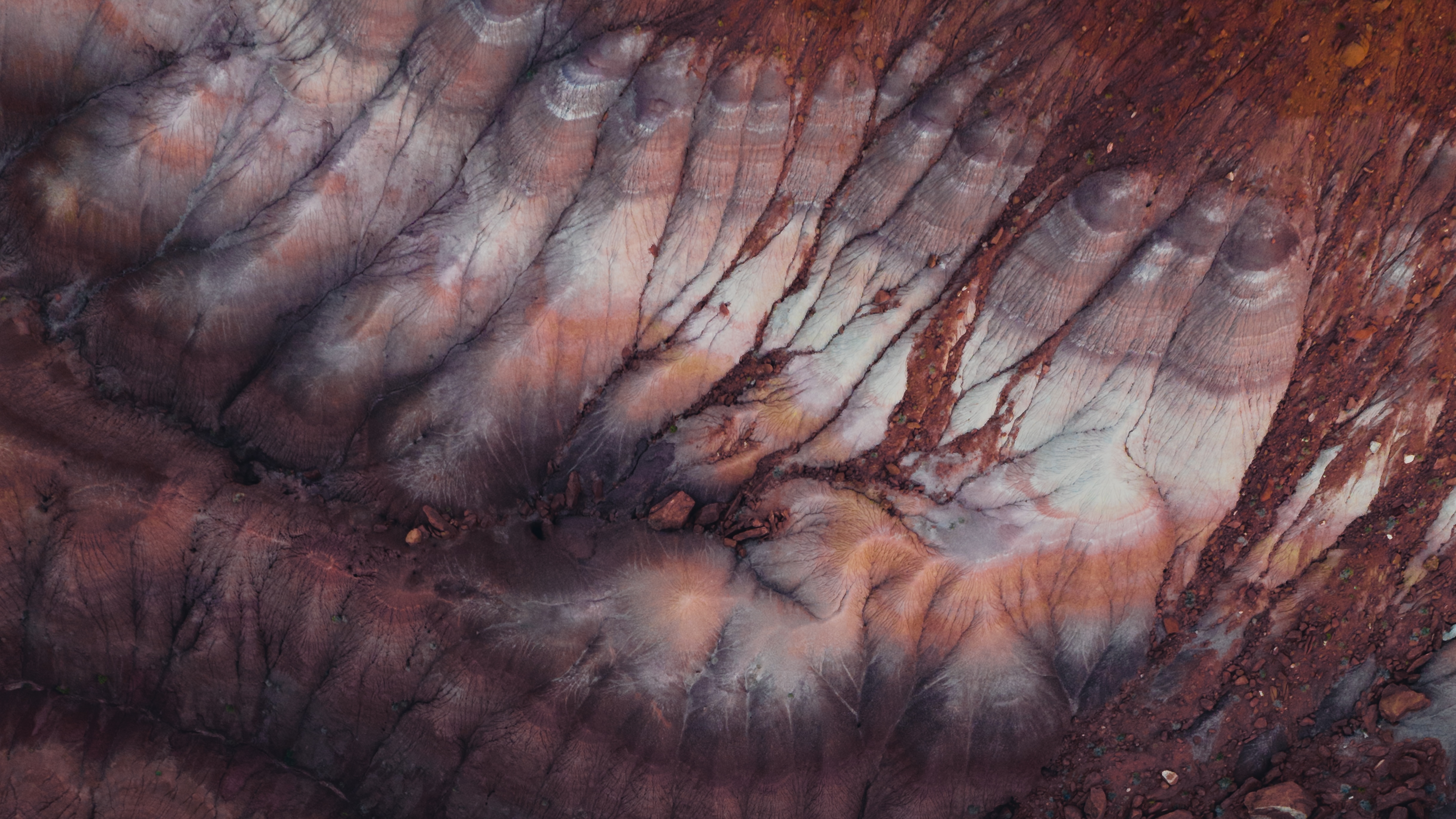 ERODED 008 //