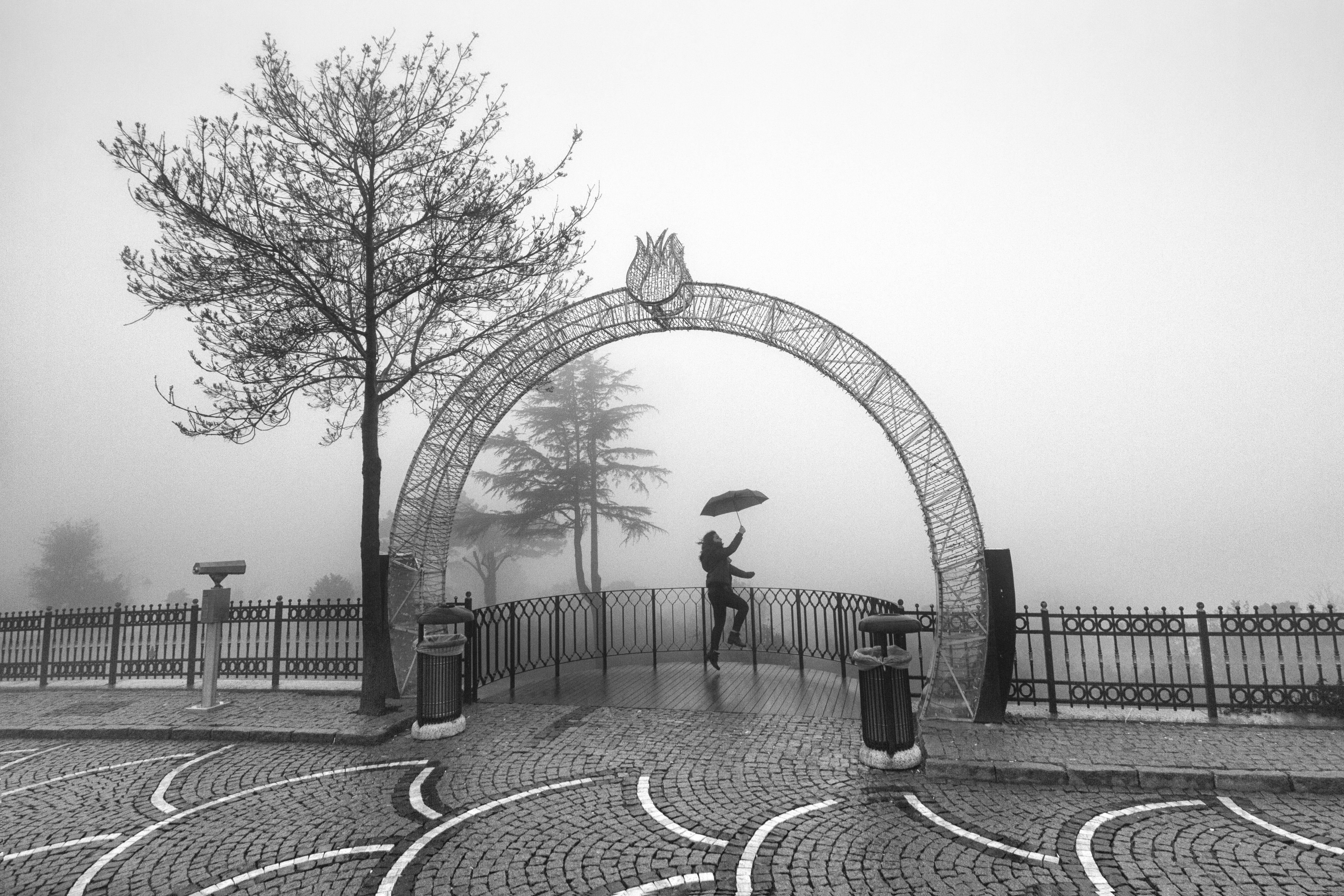 Happiness that comes with fog #31