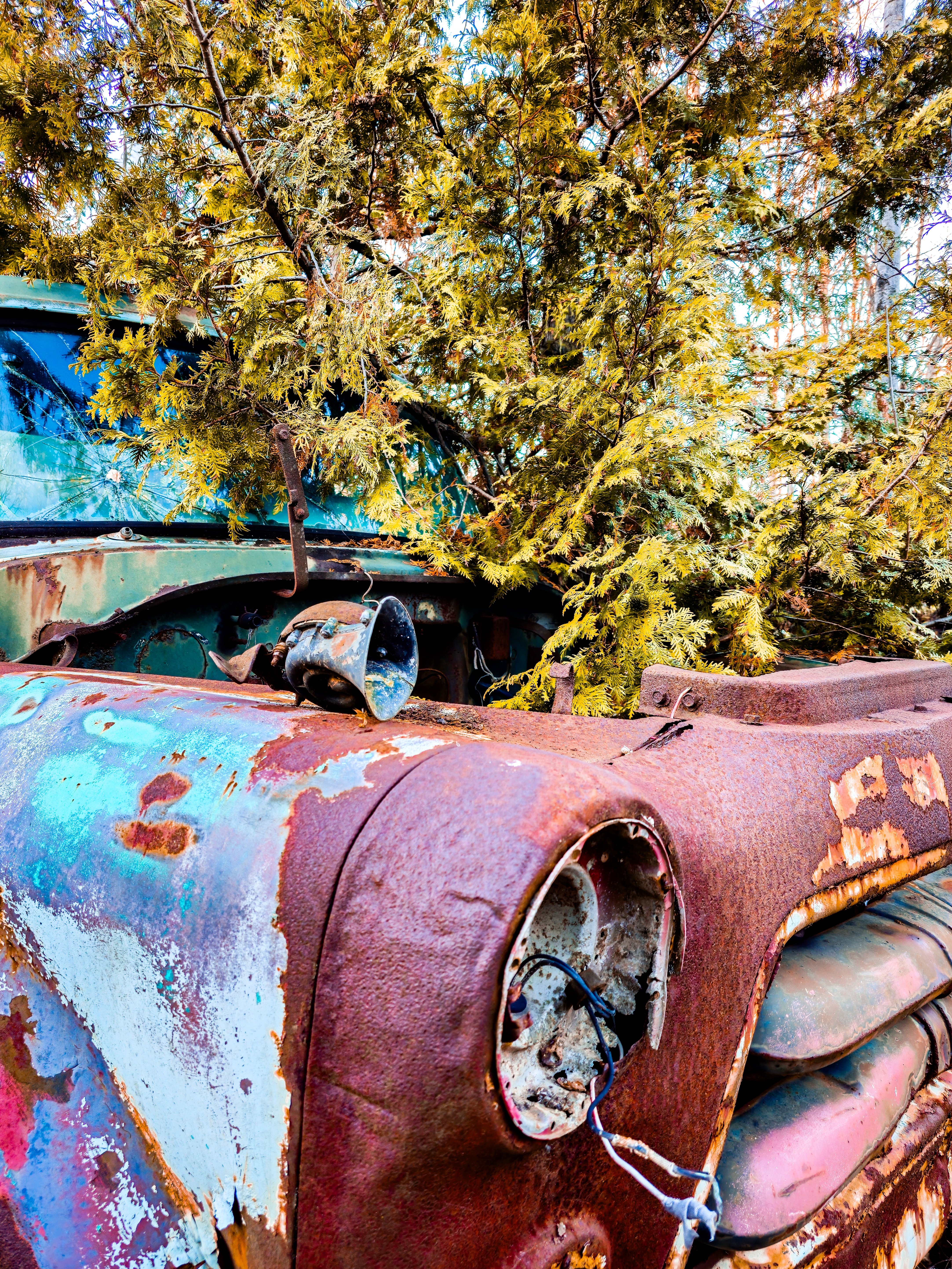 Lost & Found #39