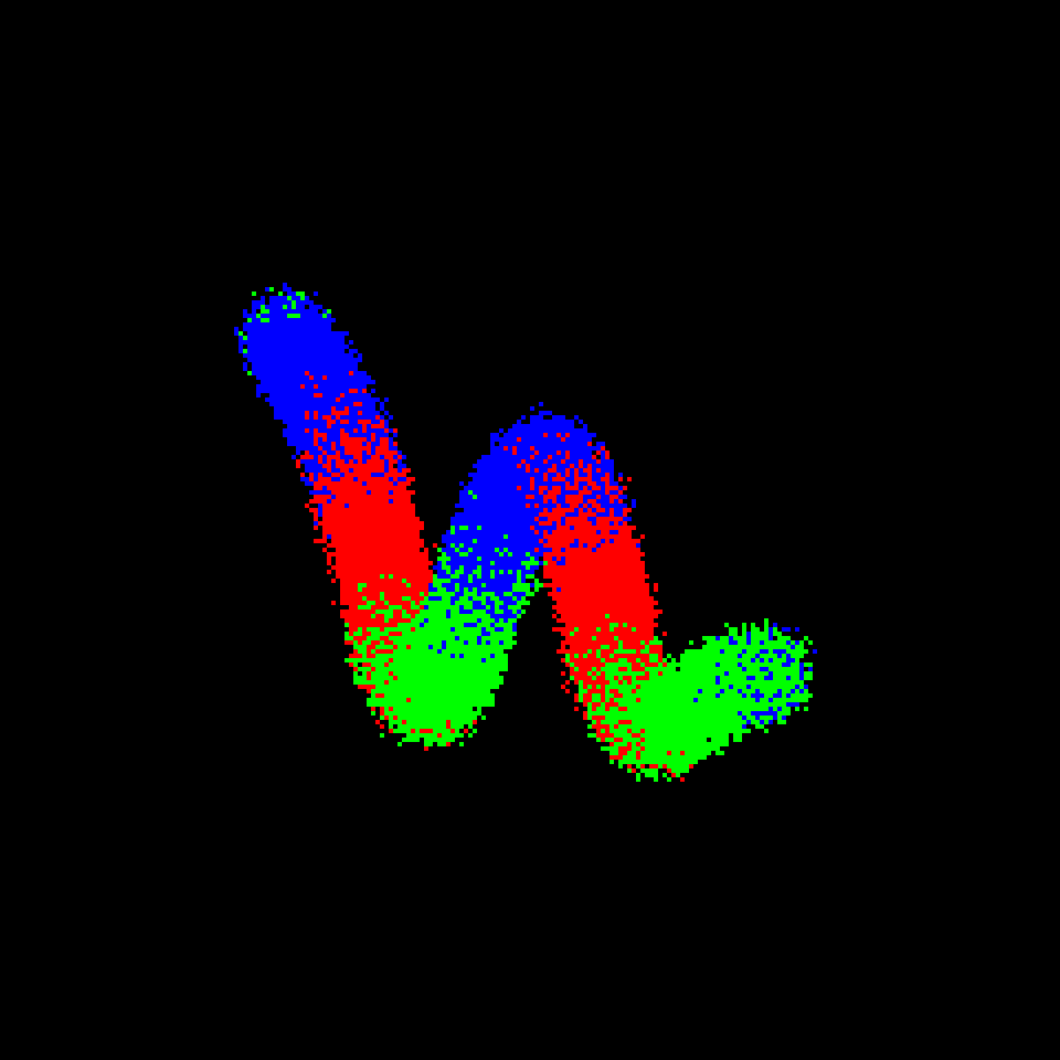 Neo Squiggle #2407