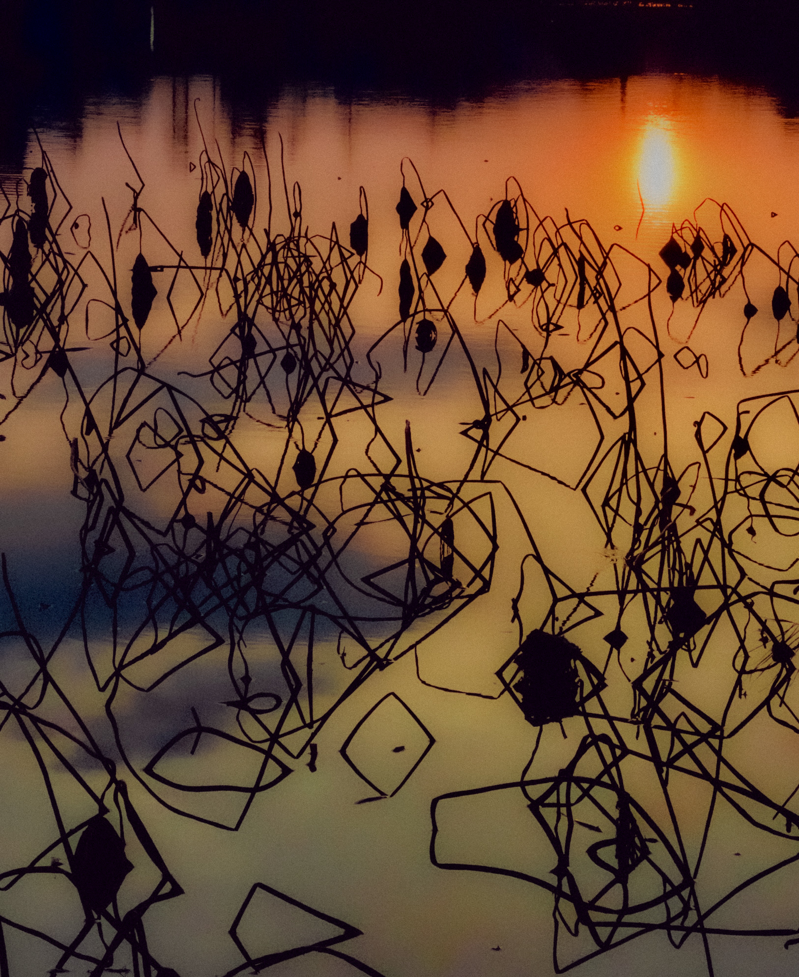from evening walk