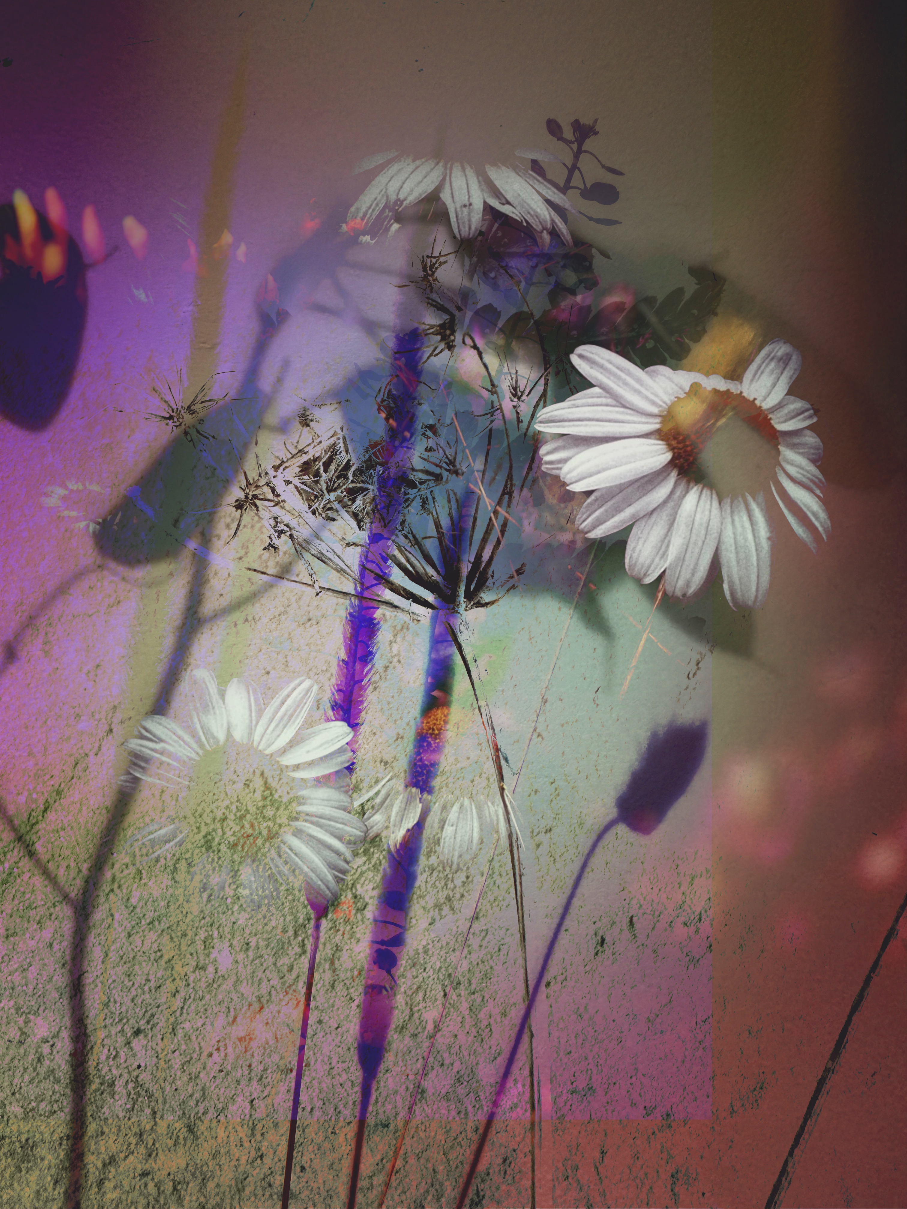 Scattered Fantasy
