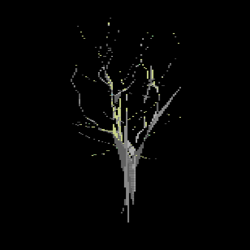 BranchXYZ