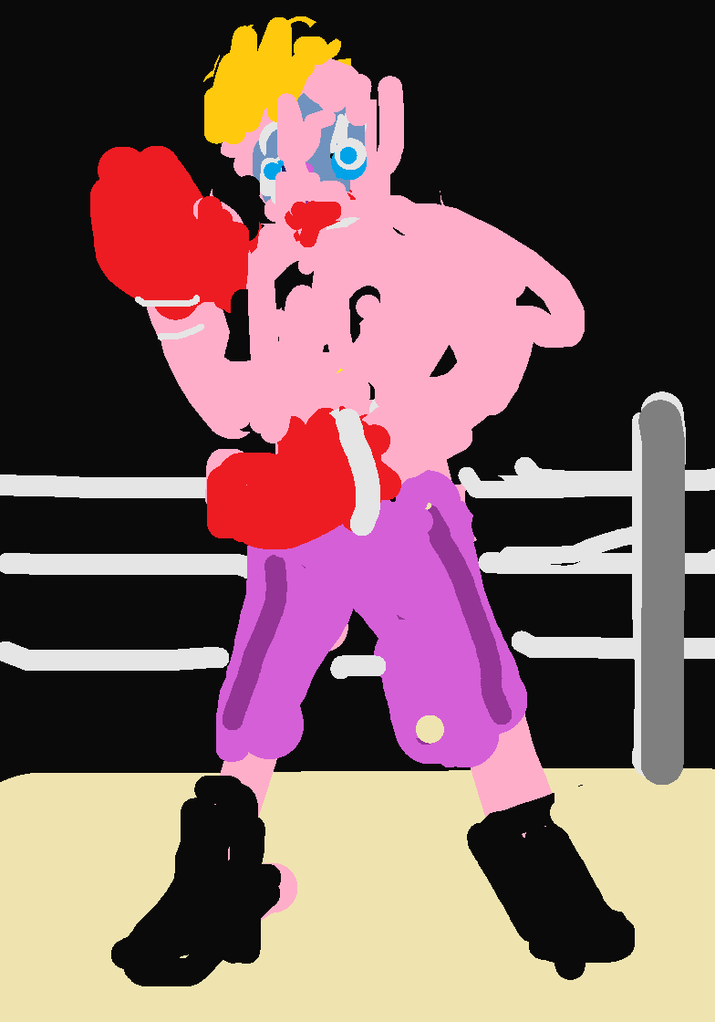The Boxer