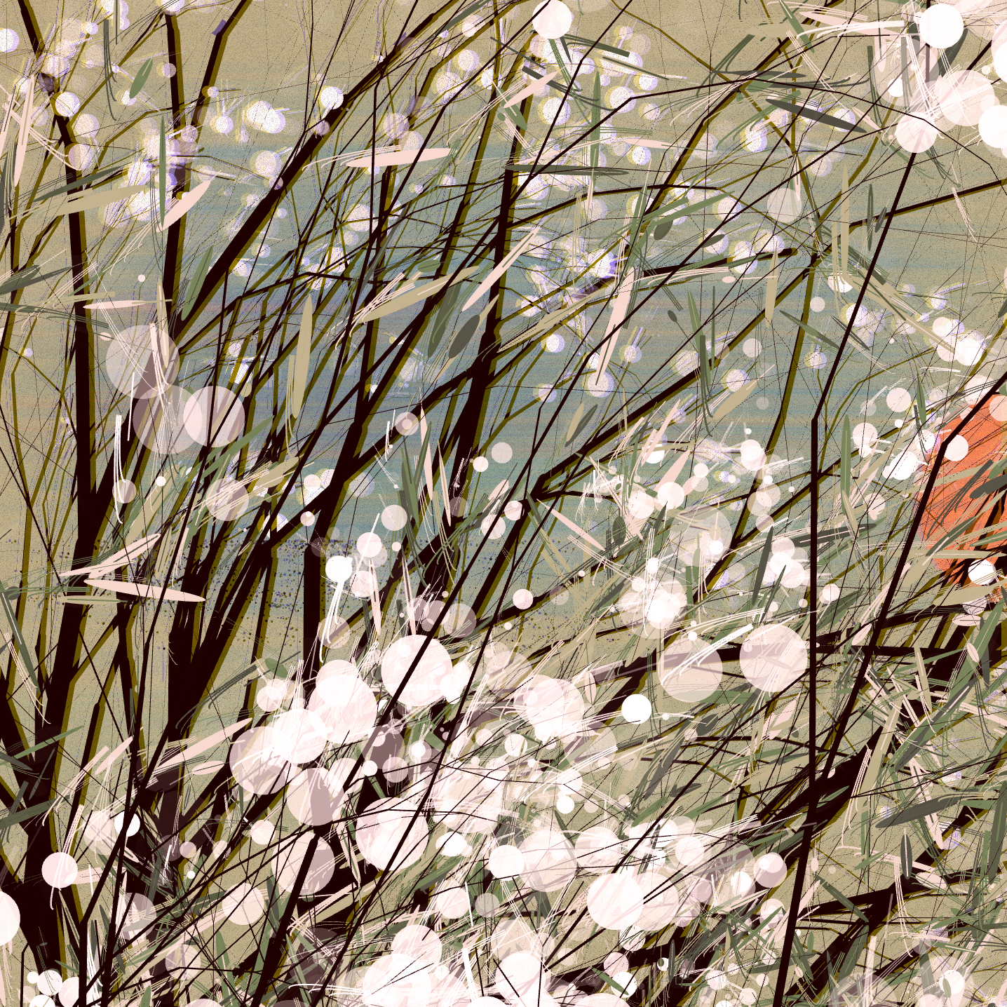 Conversation with the wind