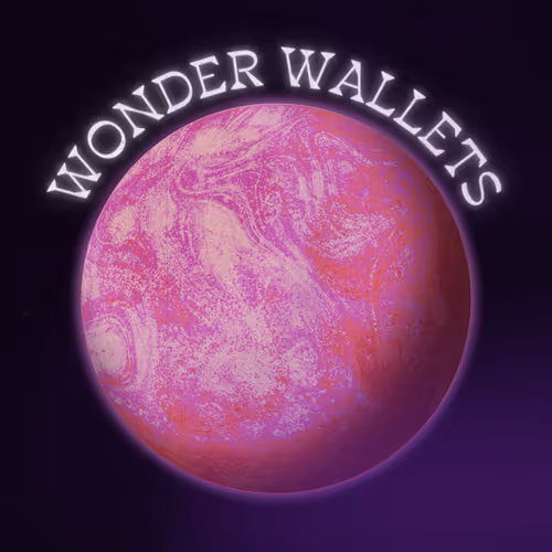 Wonder Wallets Class 2