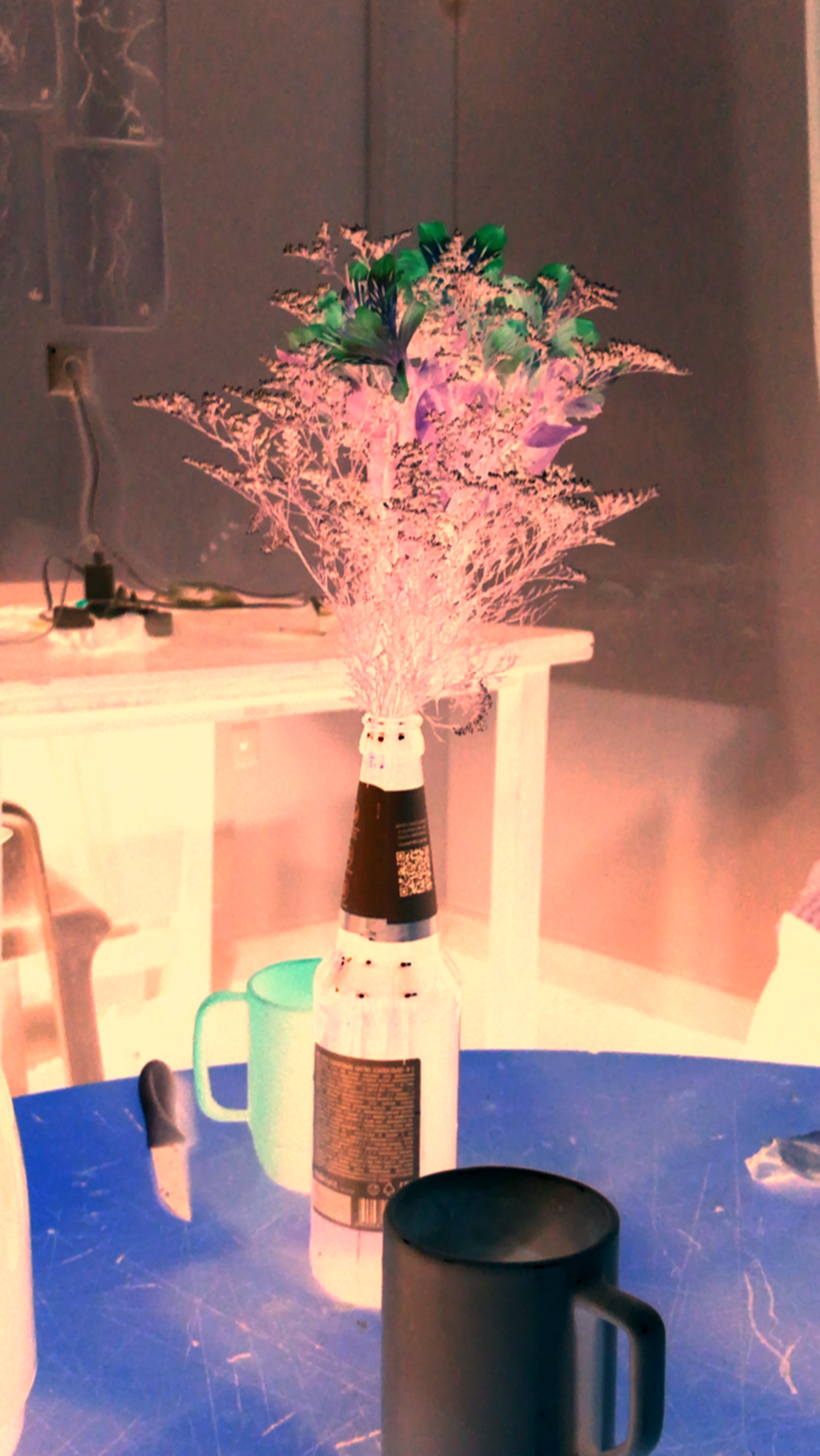 Still life 2, Autonomint X PIP.