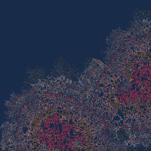 coral mode - recursive systems