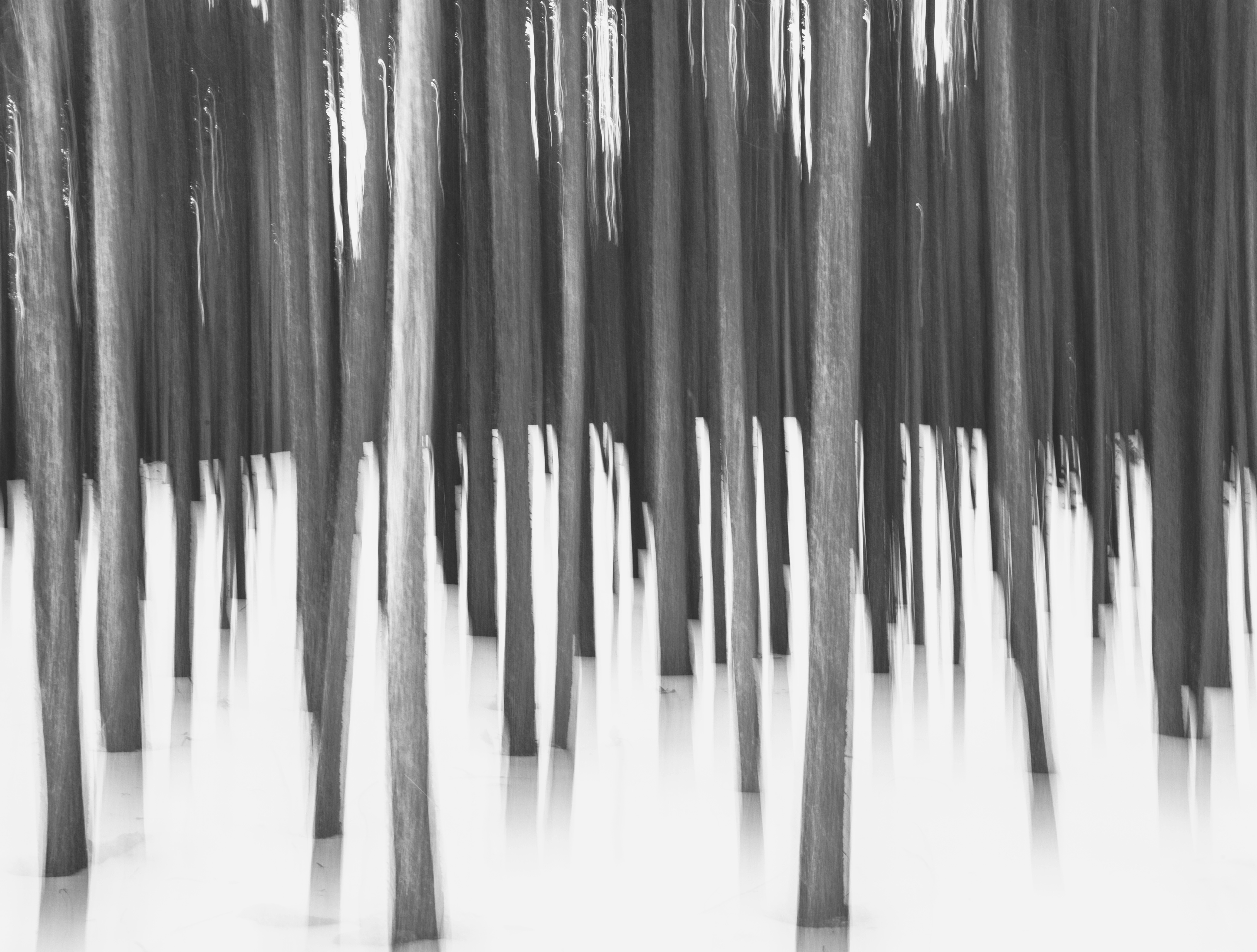 Winter in Abstract