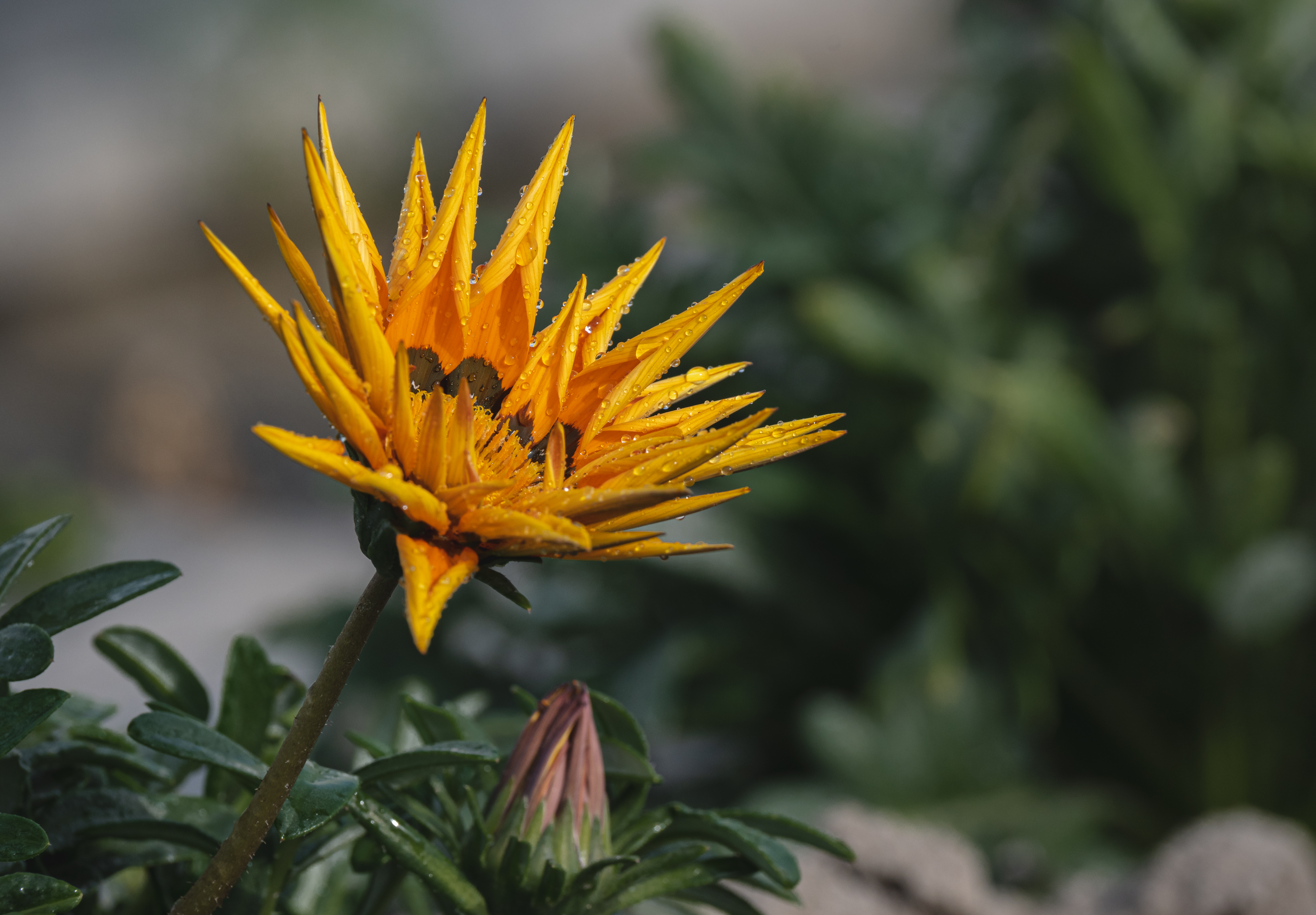 Radiance Unfolded #9