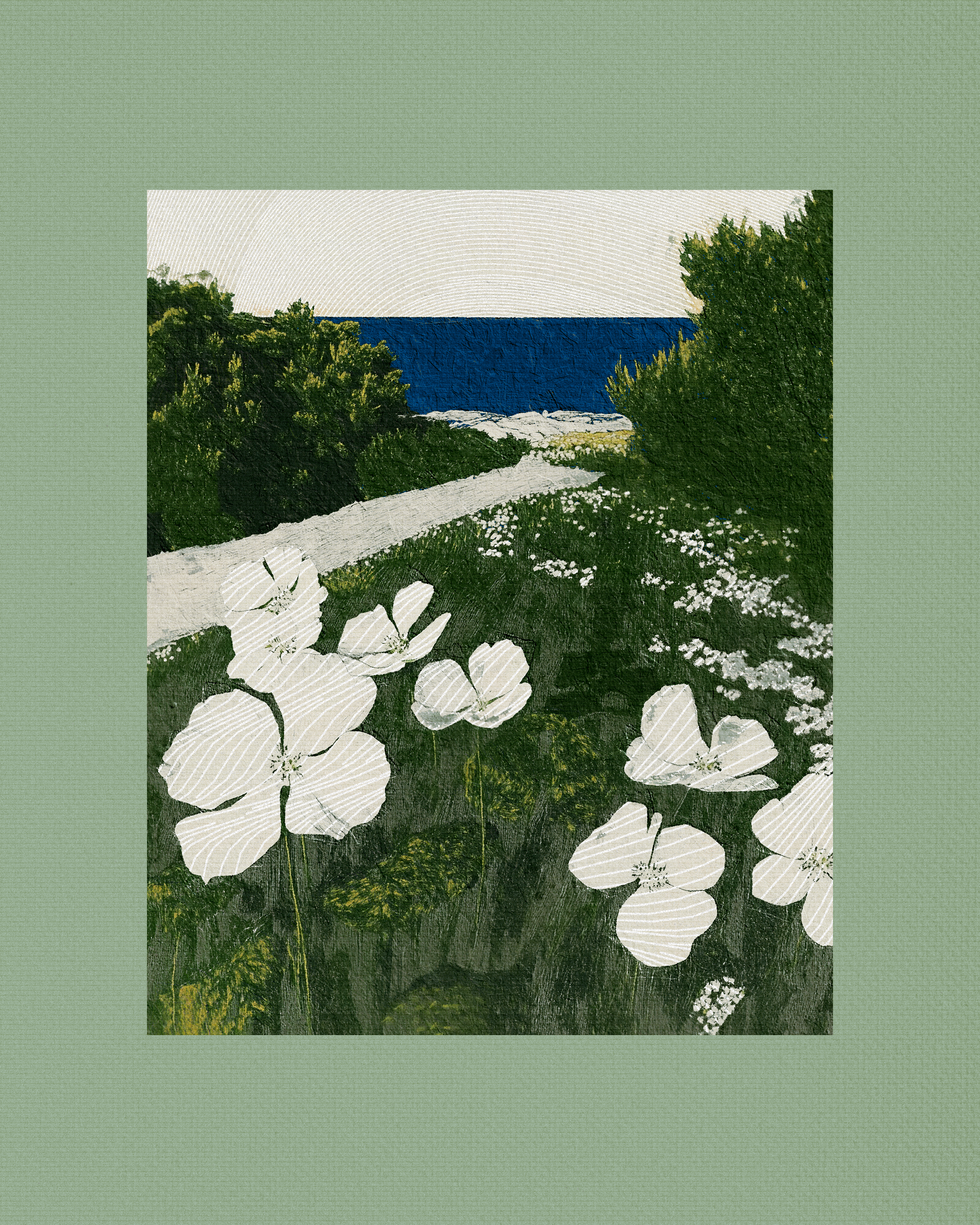 Coast #59