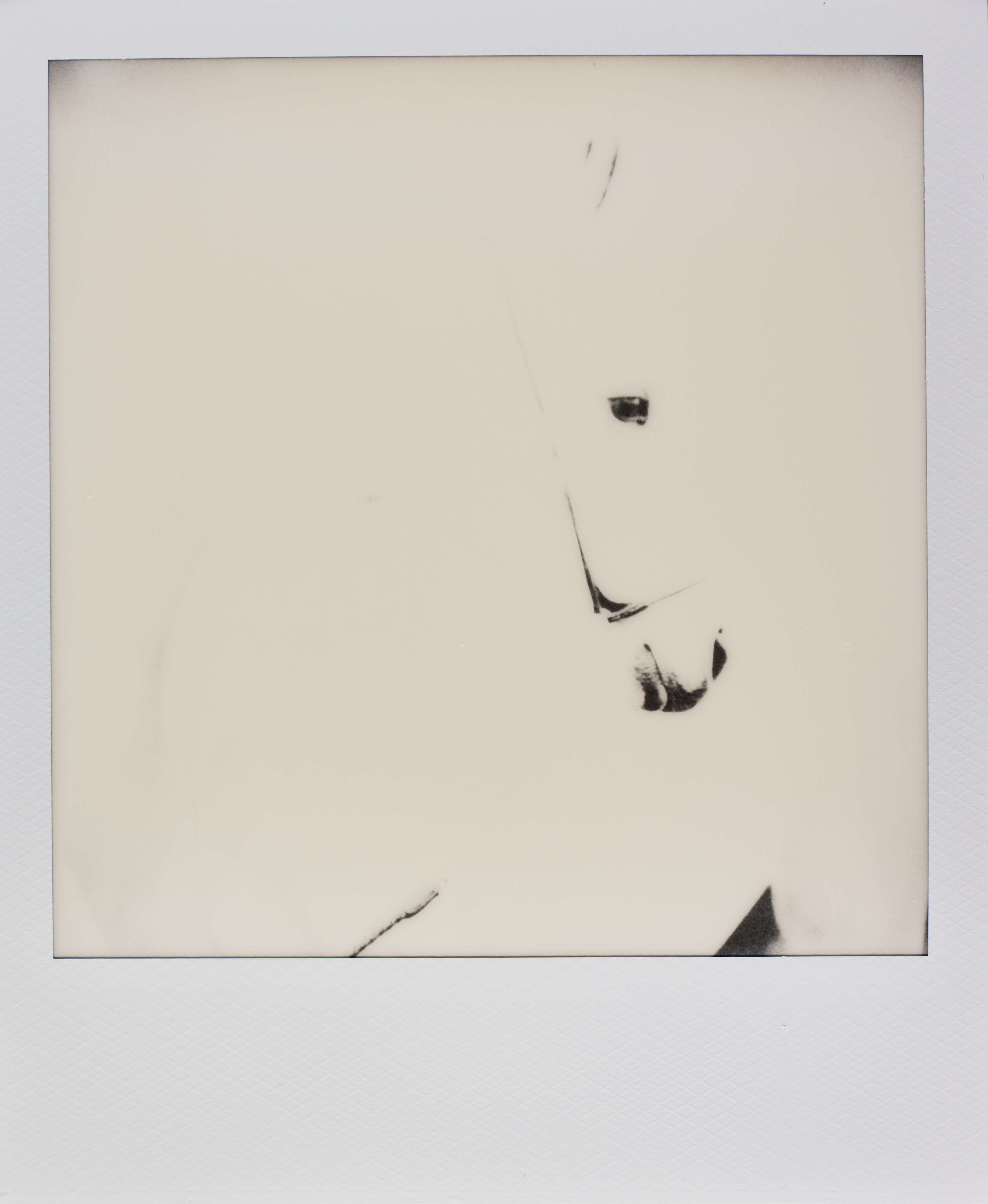 Polaroid #1