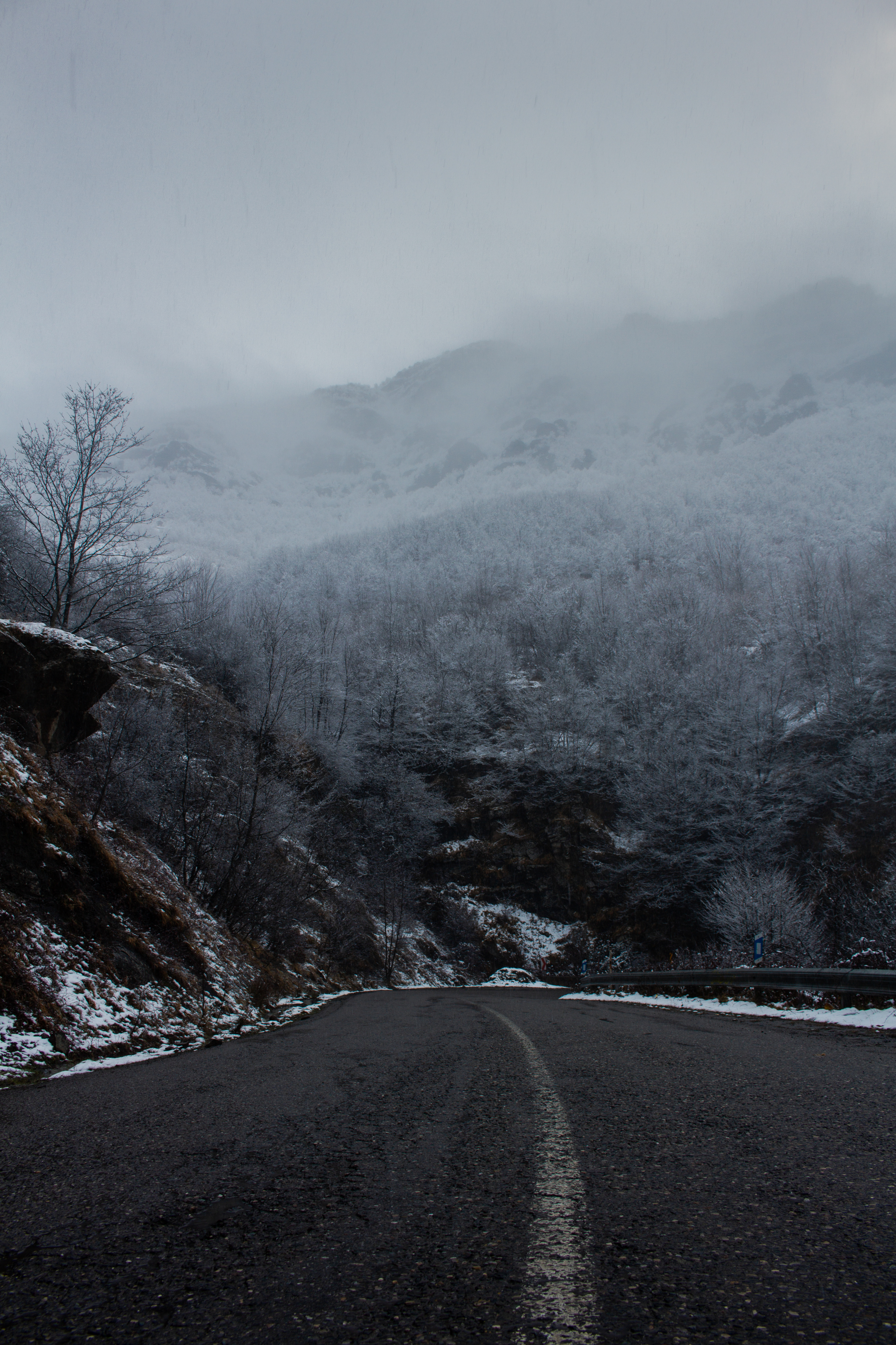 Serenity of the Road