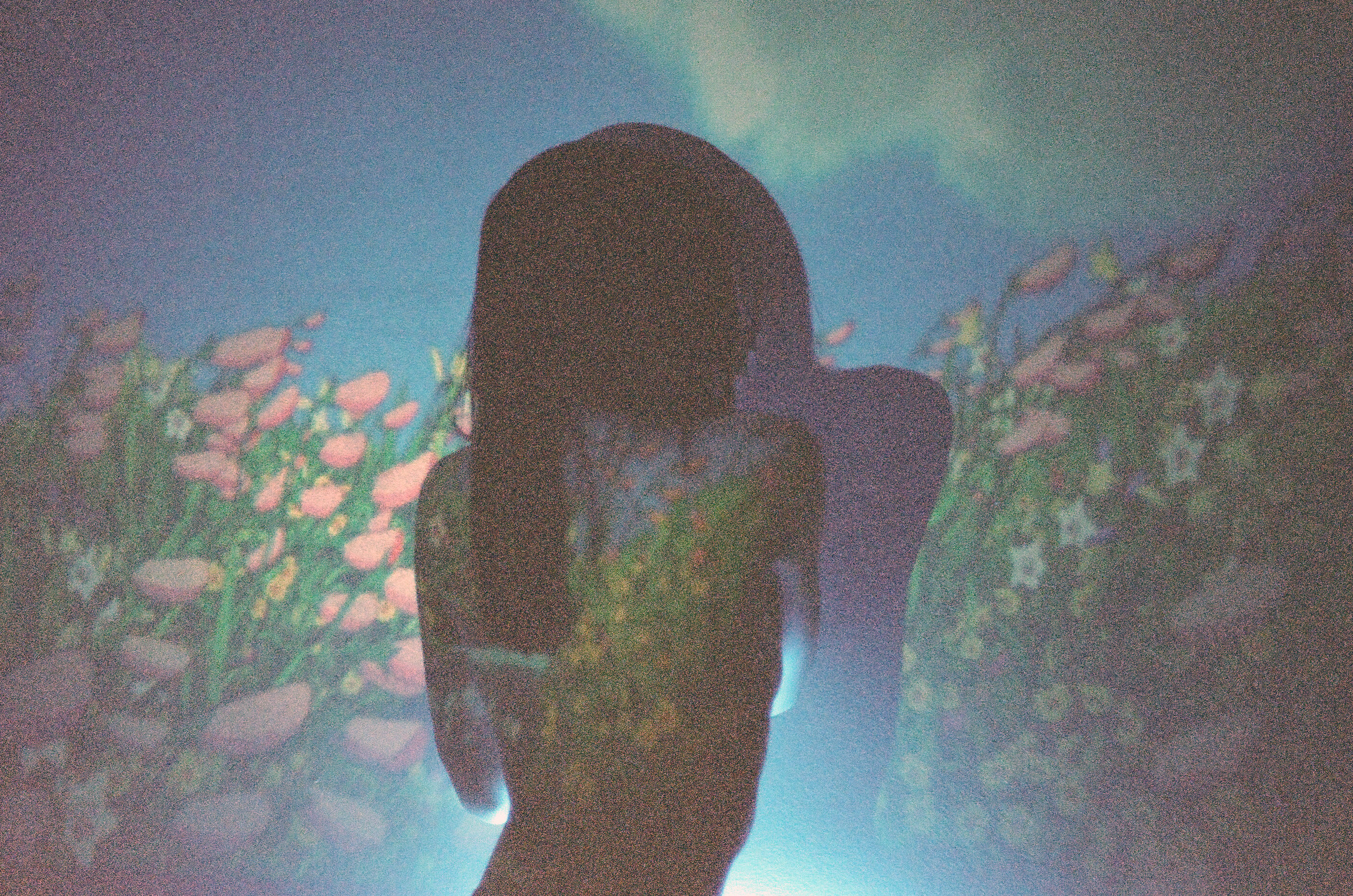 Field of Illusion