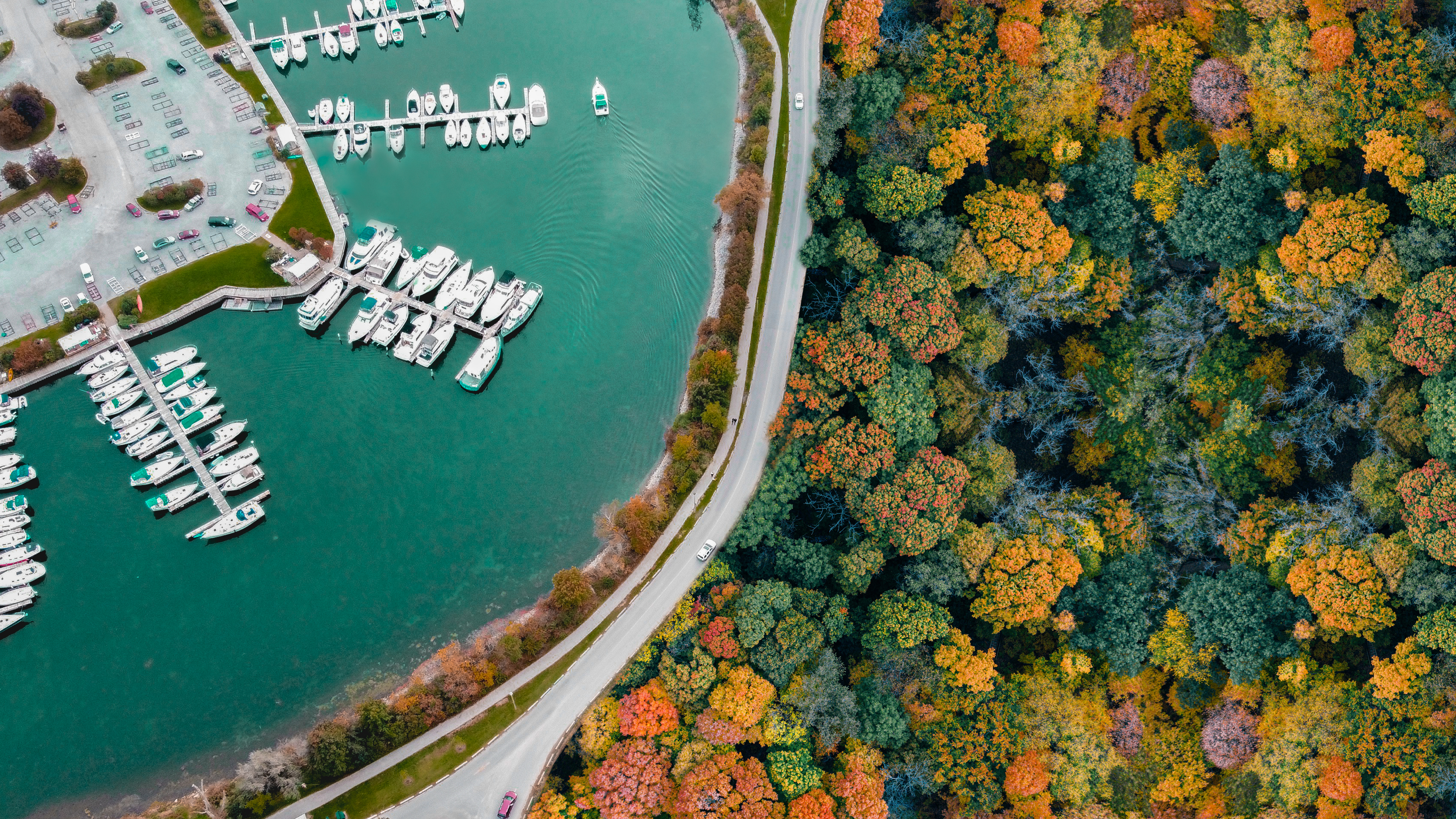Autumn from Above #1807