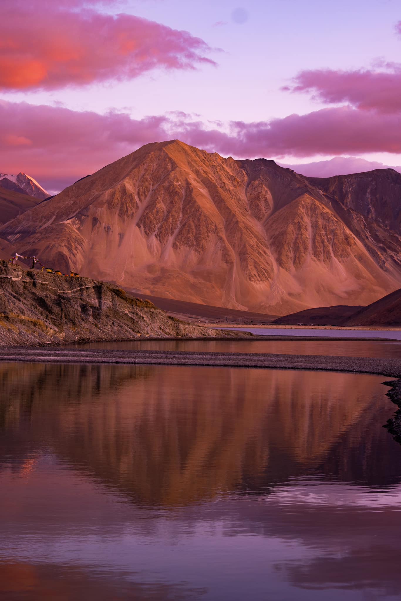 Pink Reflection