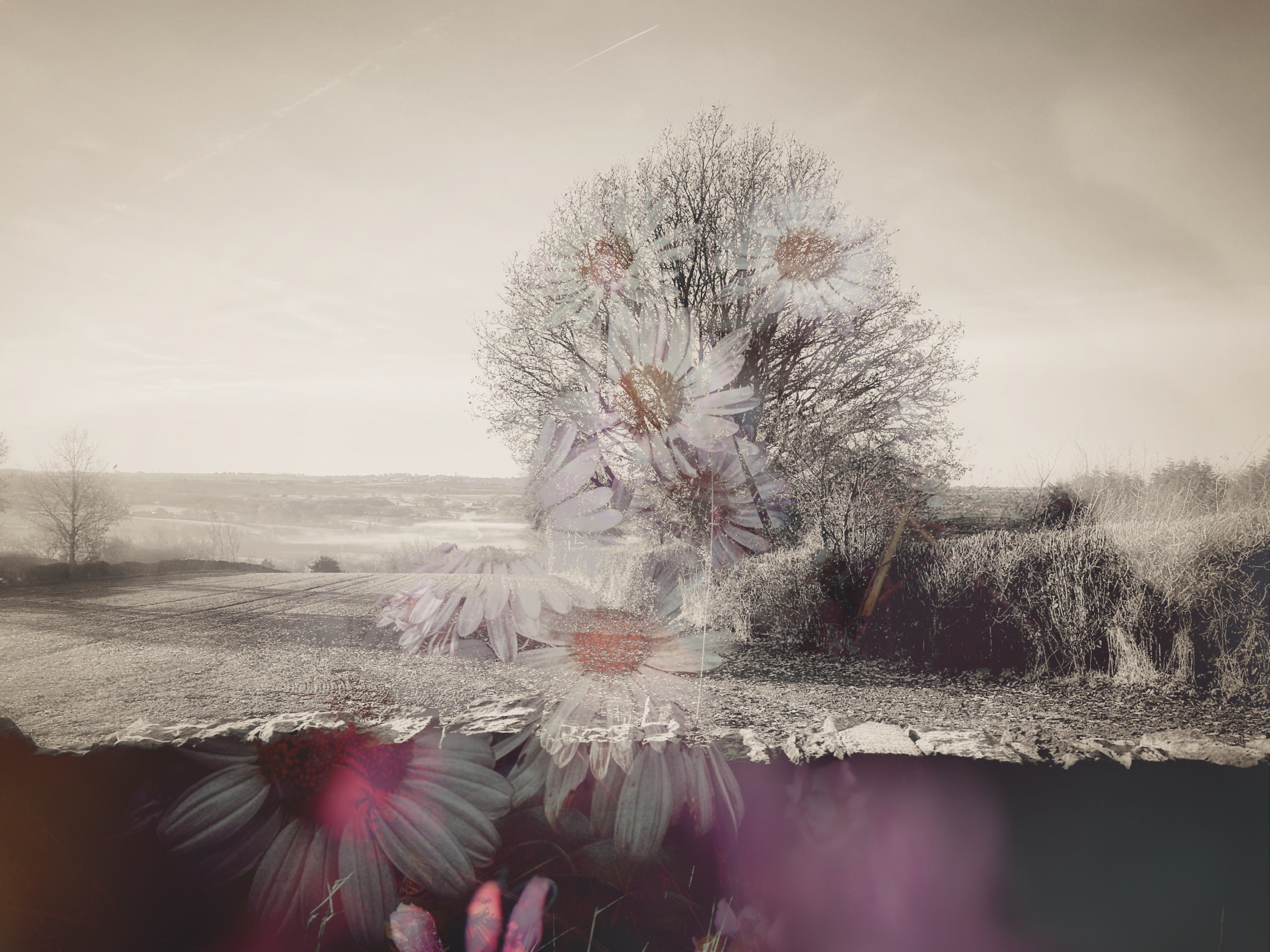 Cold, Interrupted #12