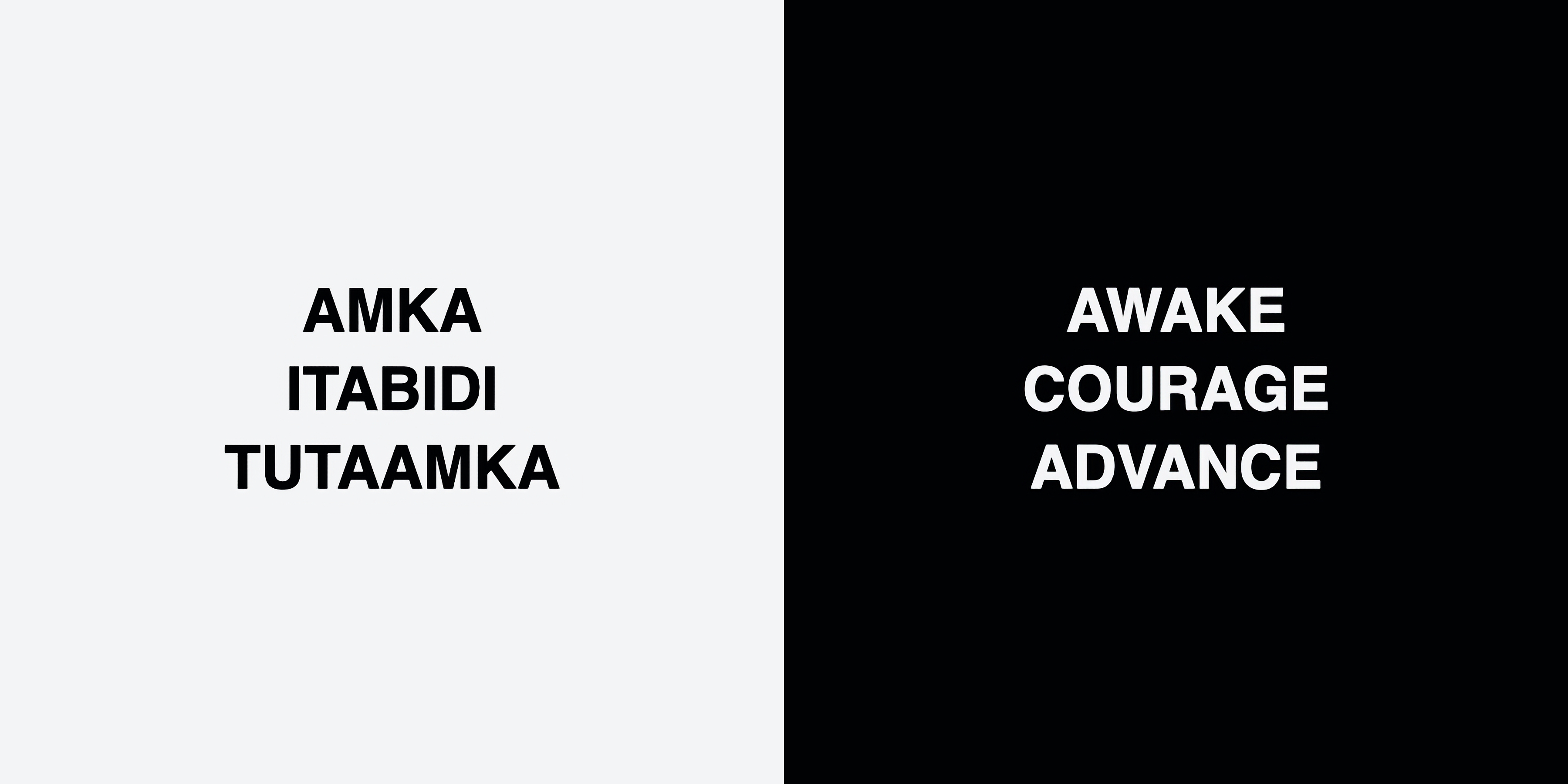 Words of Dzalaka: AWAKE COURAGE ADVANCE