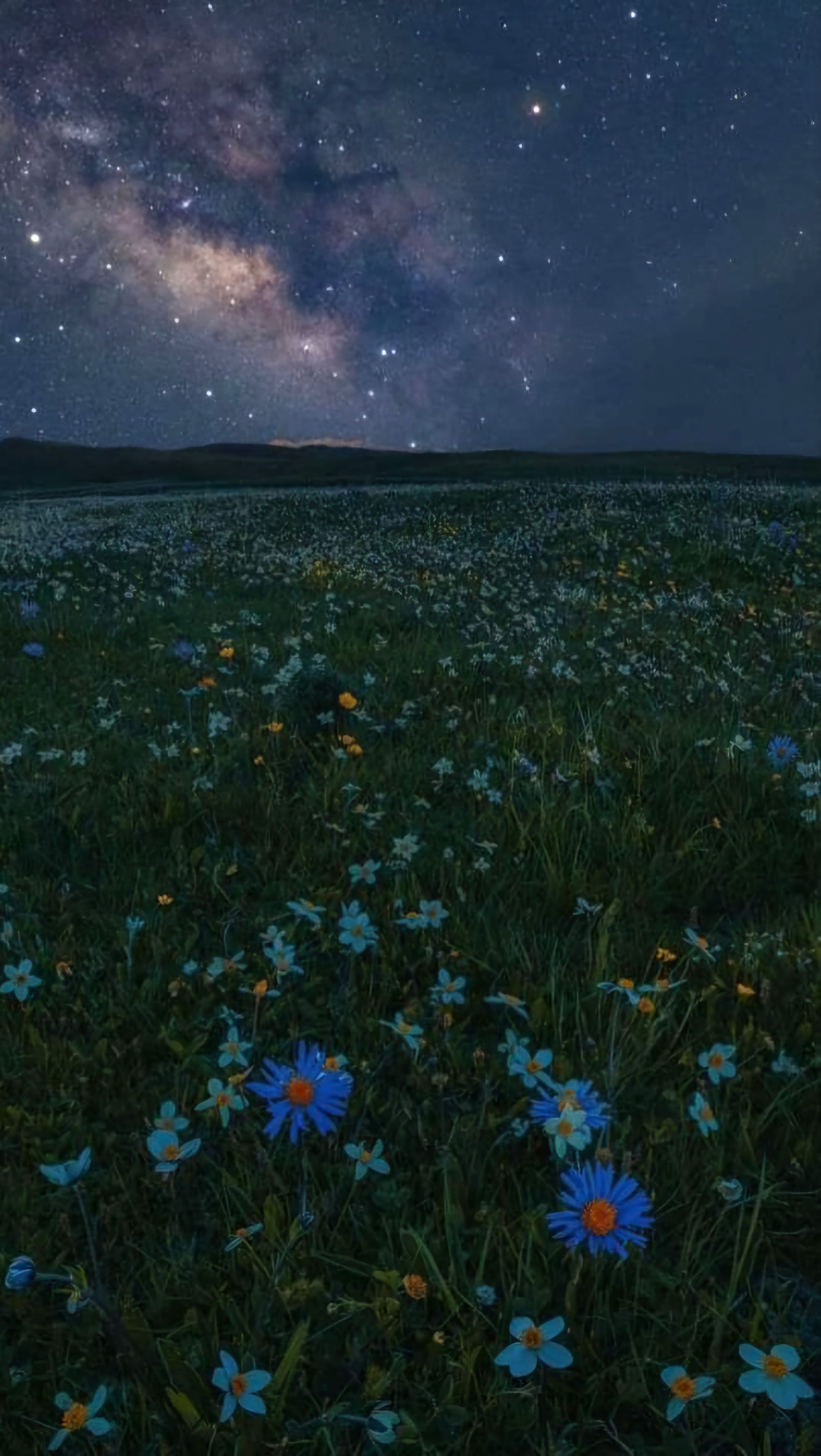 Eden