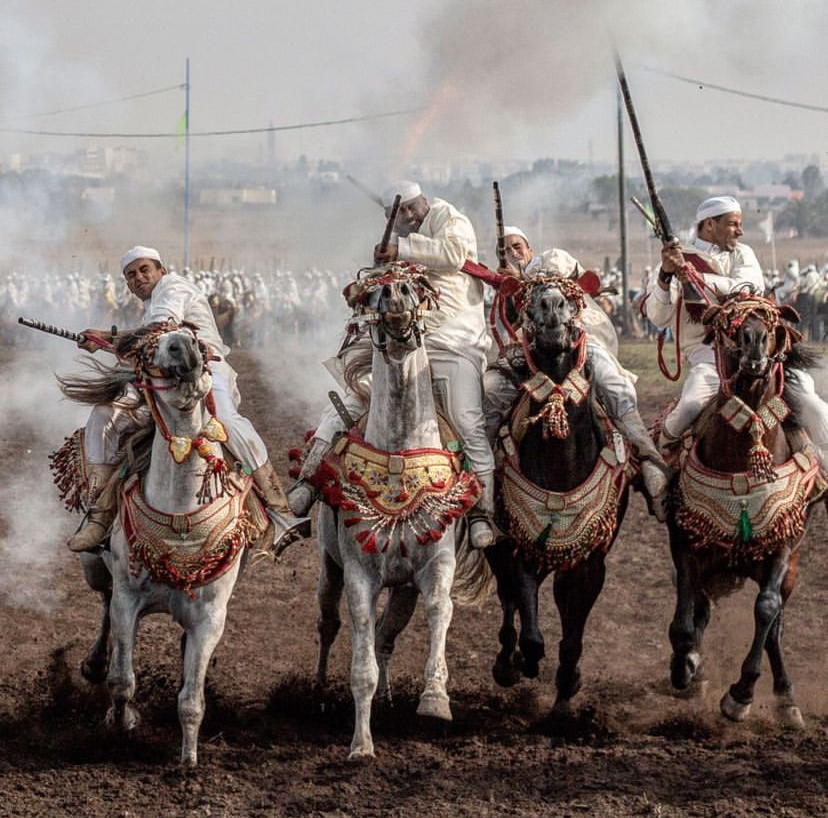 Tbourida, Moroccan horsemanship