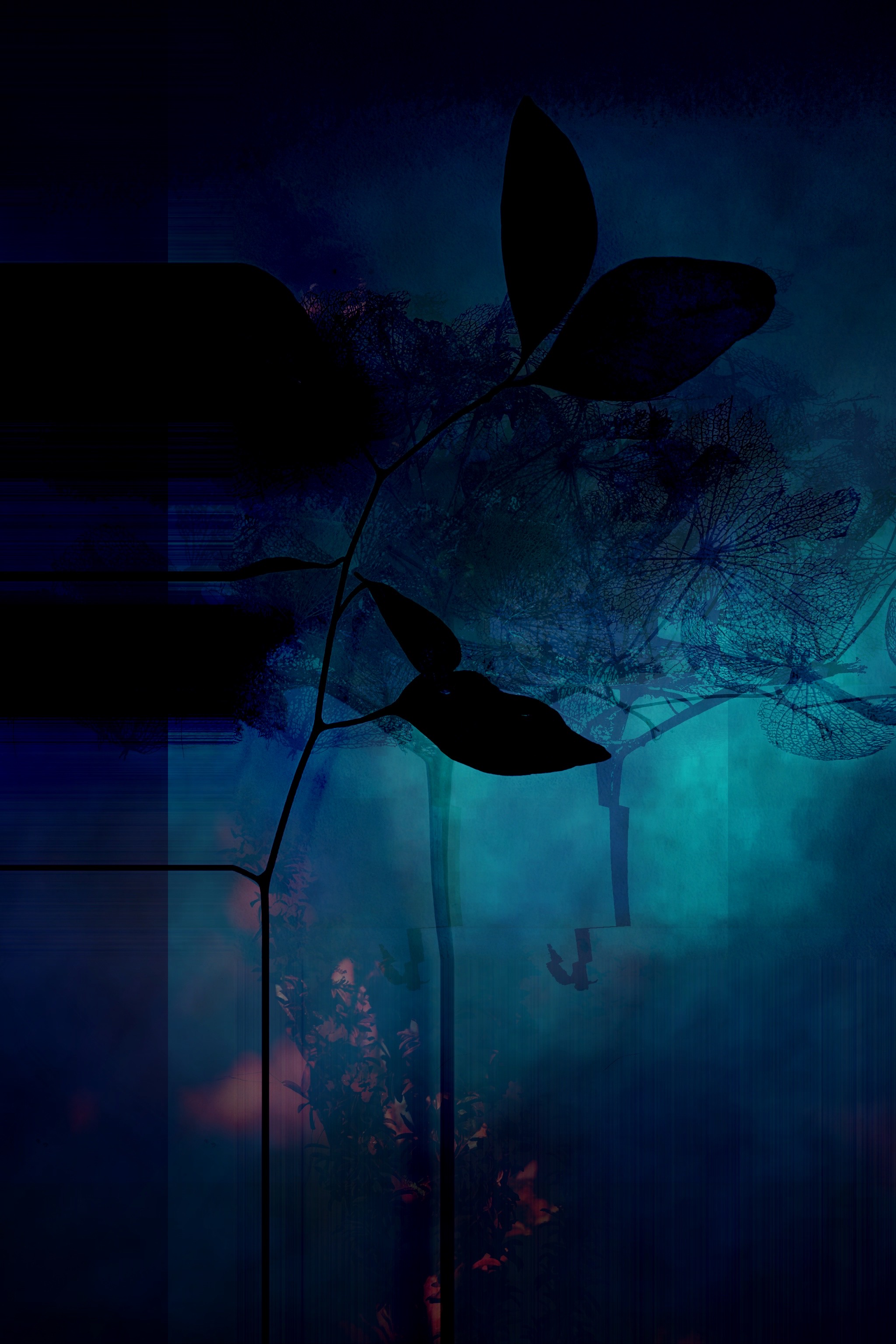 Dead of Night