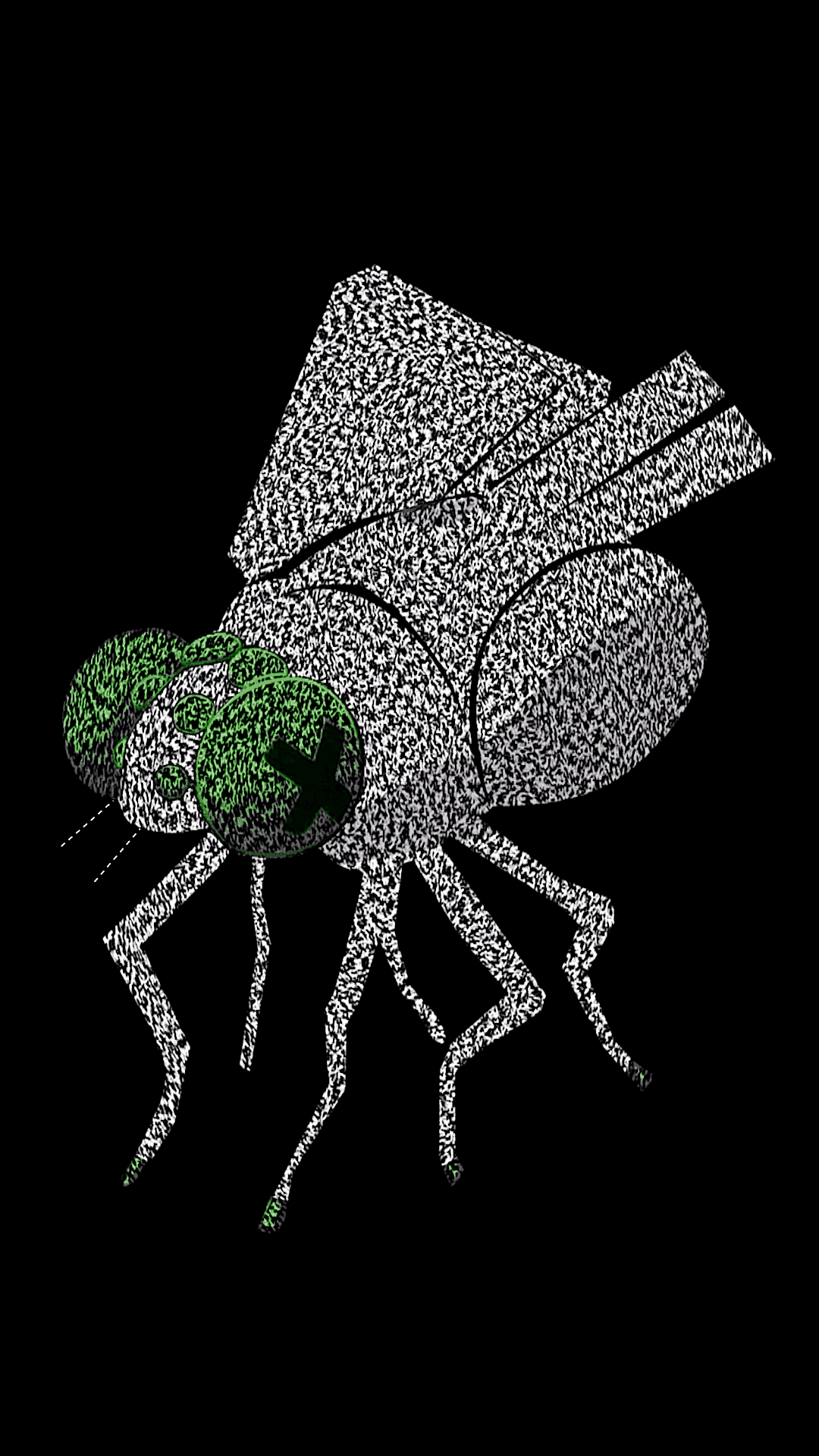 Marching Ants Mutatio