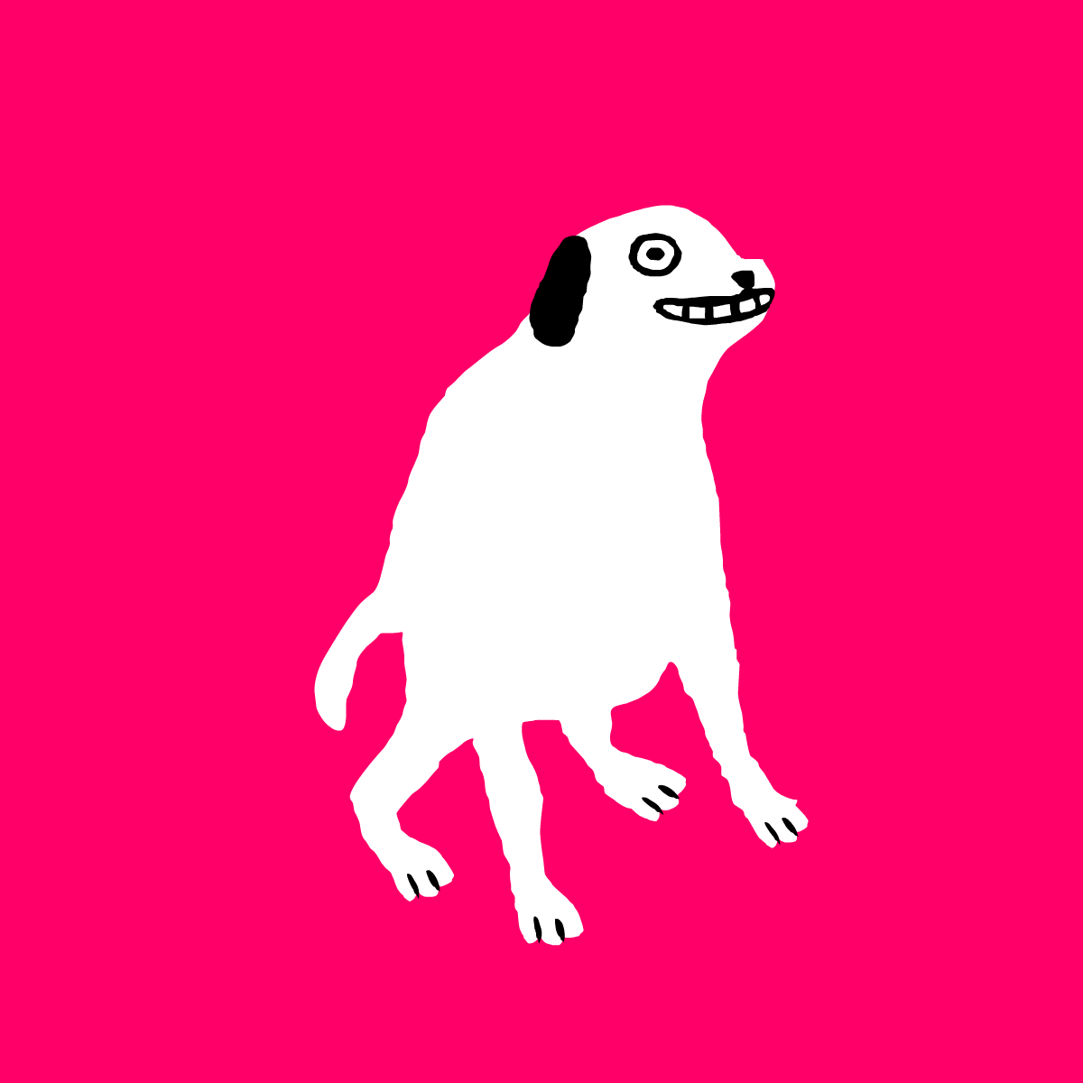 Samba dog on pink