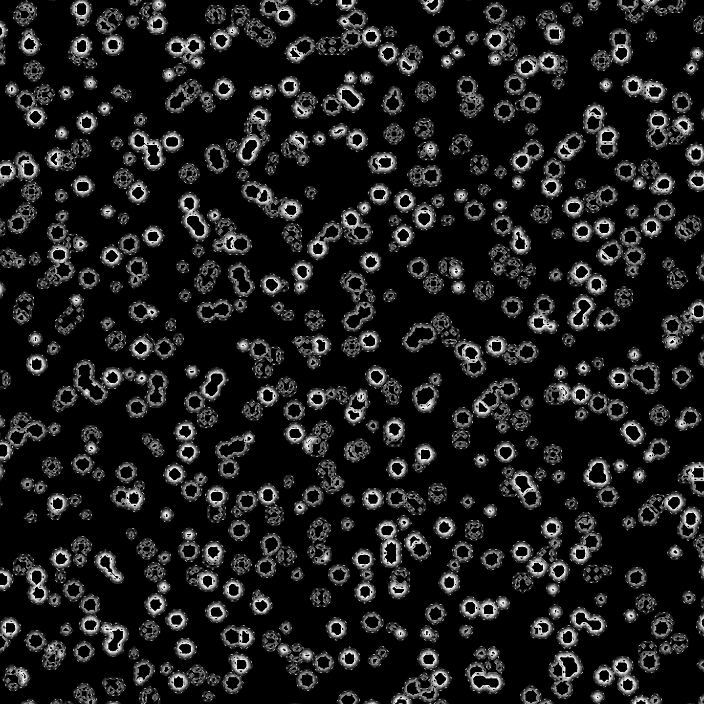Cells