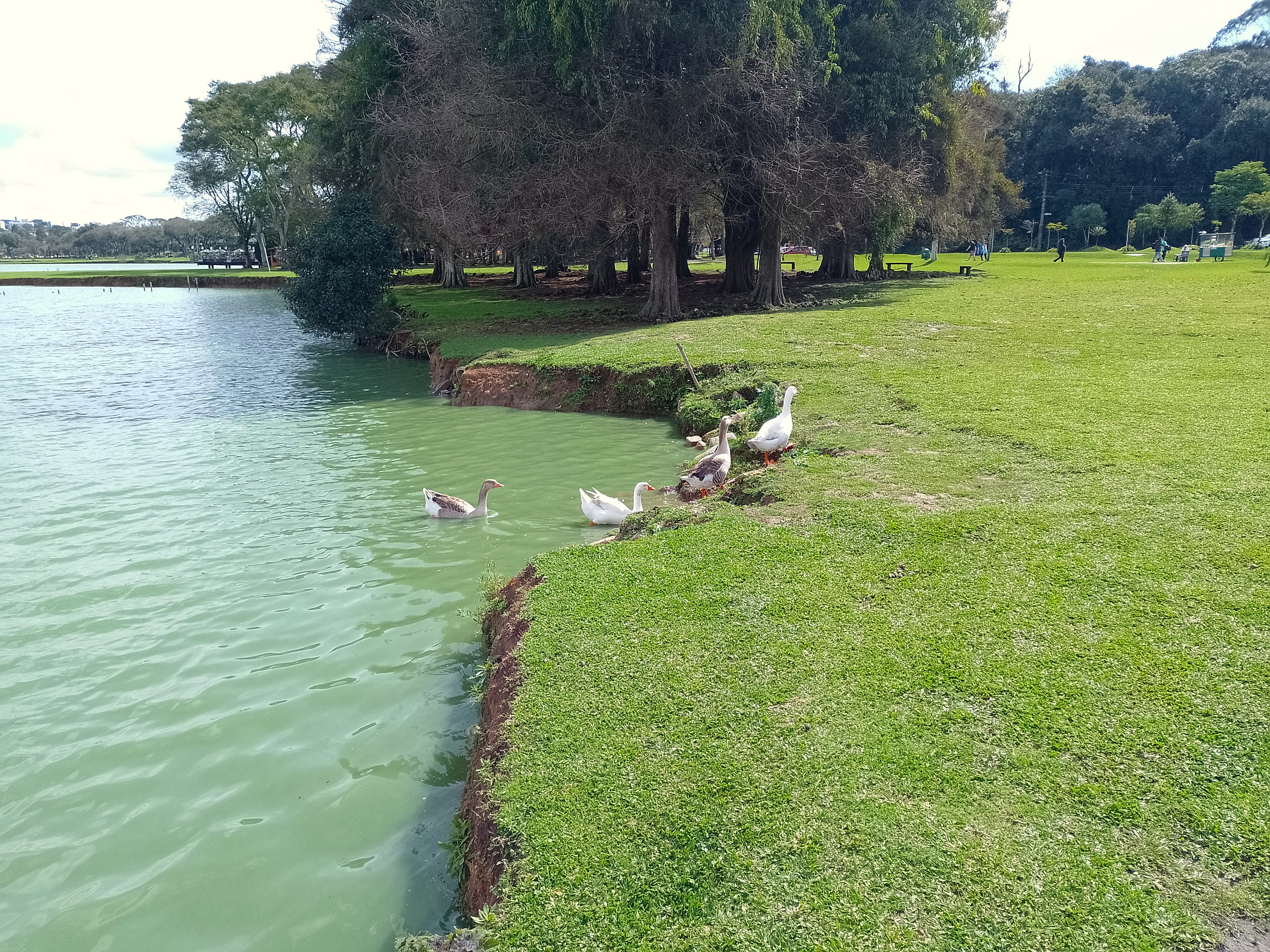 Touch the grass