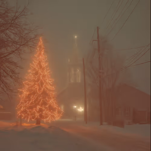 Christmas in the suburbs (2)