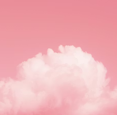 Rodeo post #18